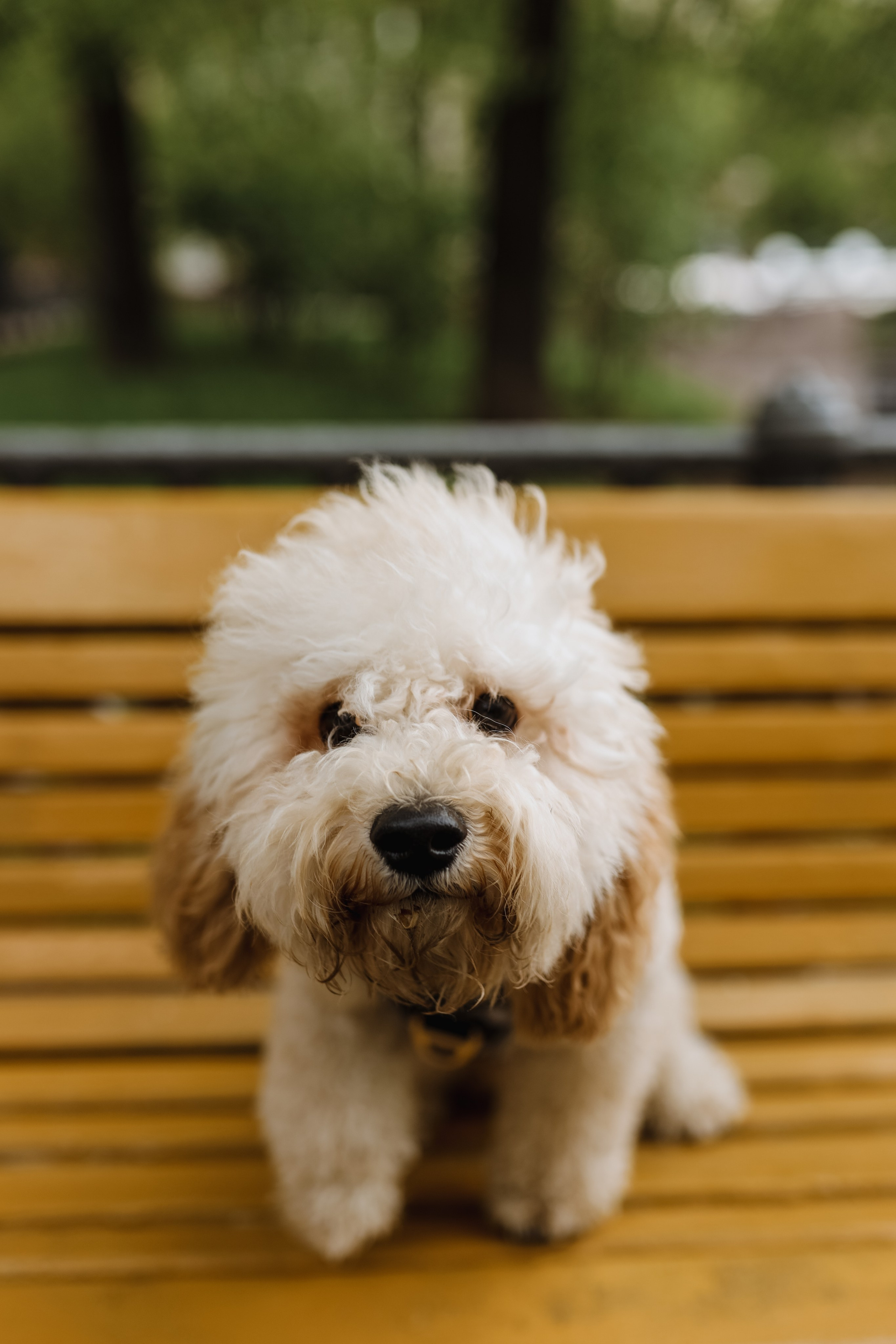 Юлия и Антон