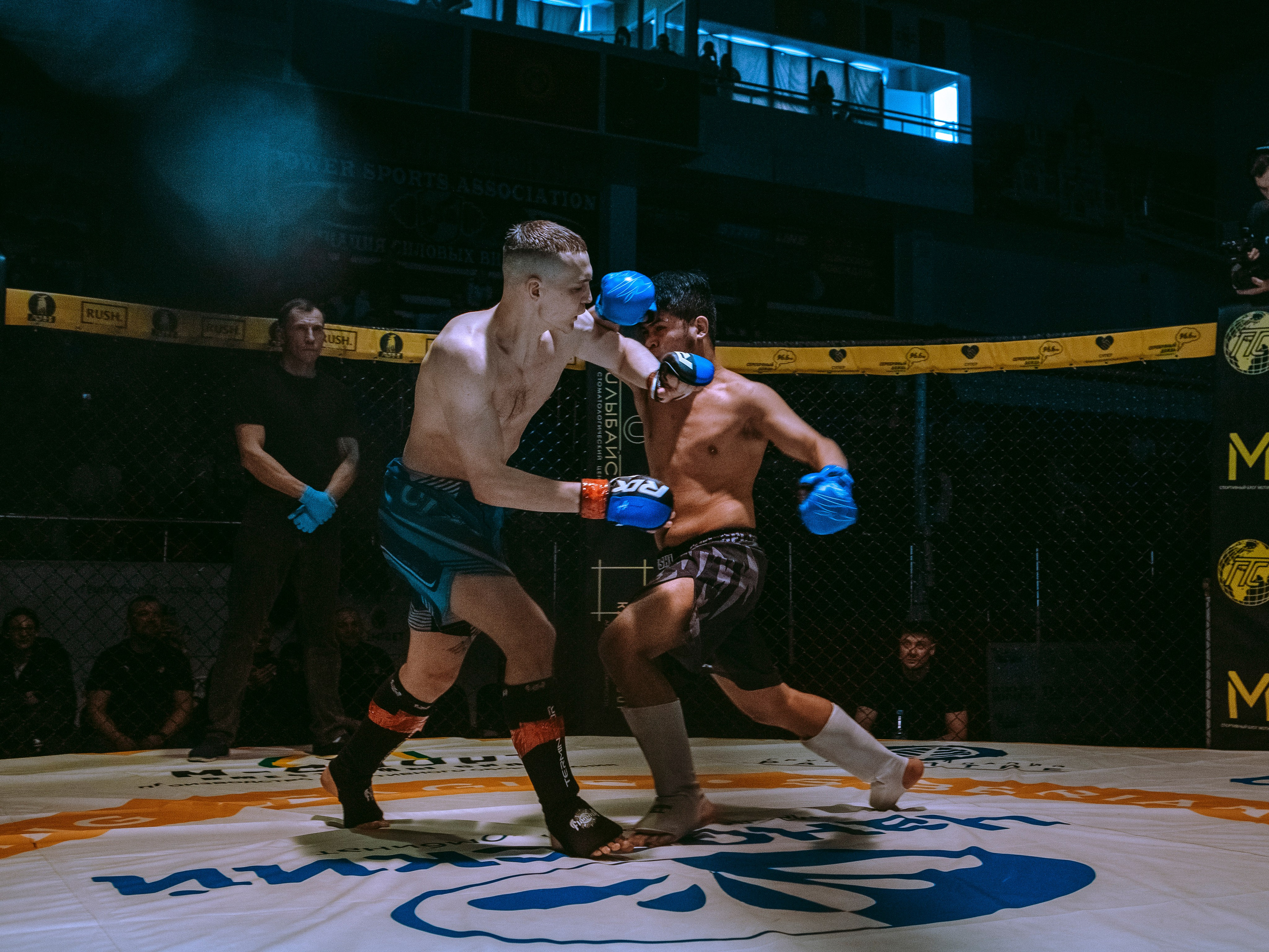 SFL 17 | Siberian Fighting League. Портретный фотограф в Москве Дарья Цезария