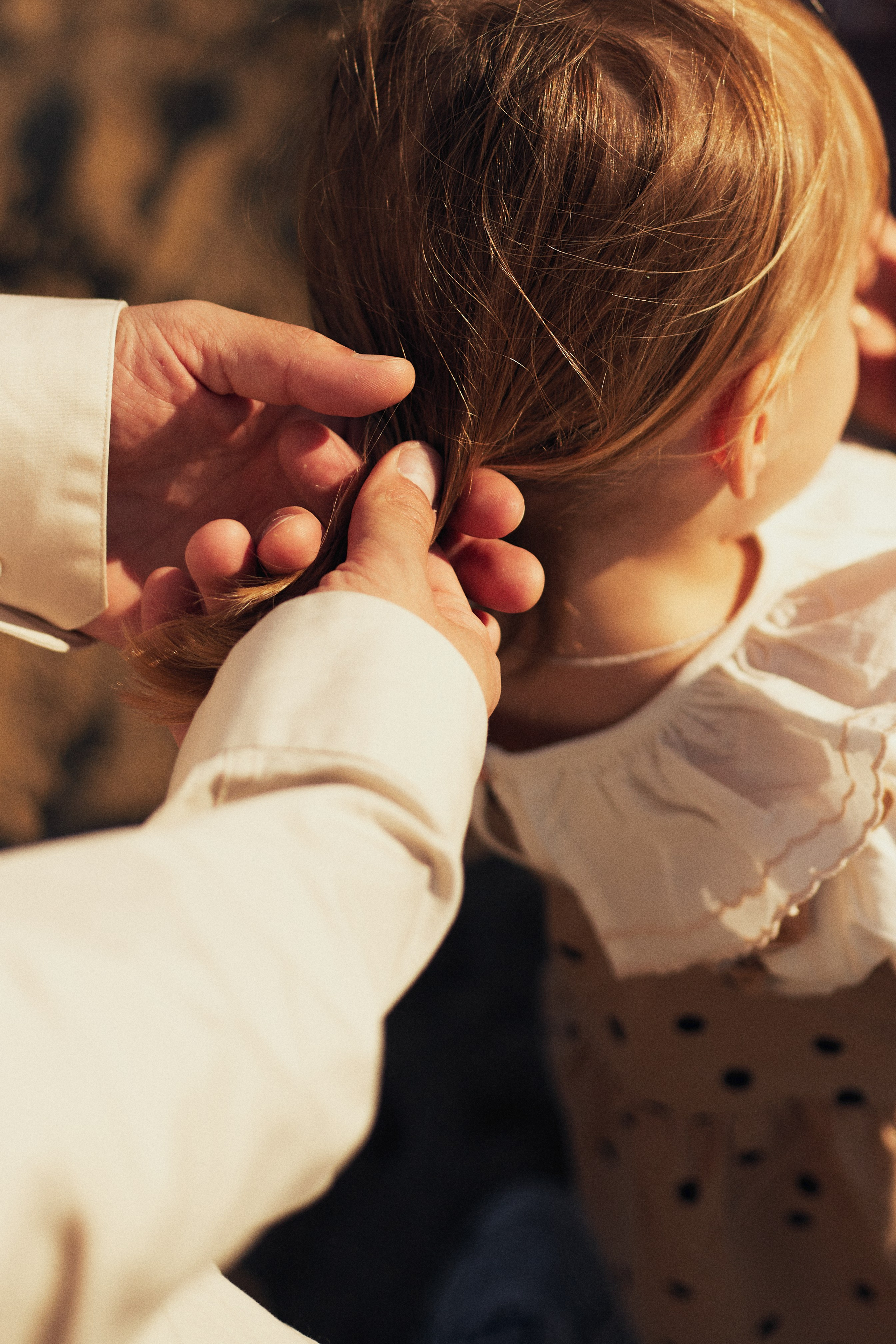 Летели высоко, летели далеко. Фотограф Ионова Анастасия, г Владивосток