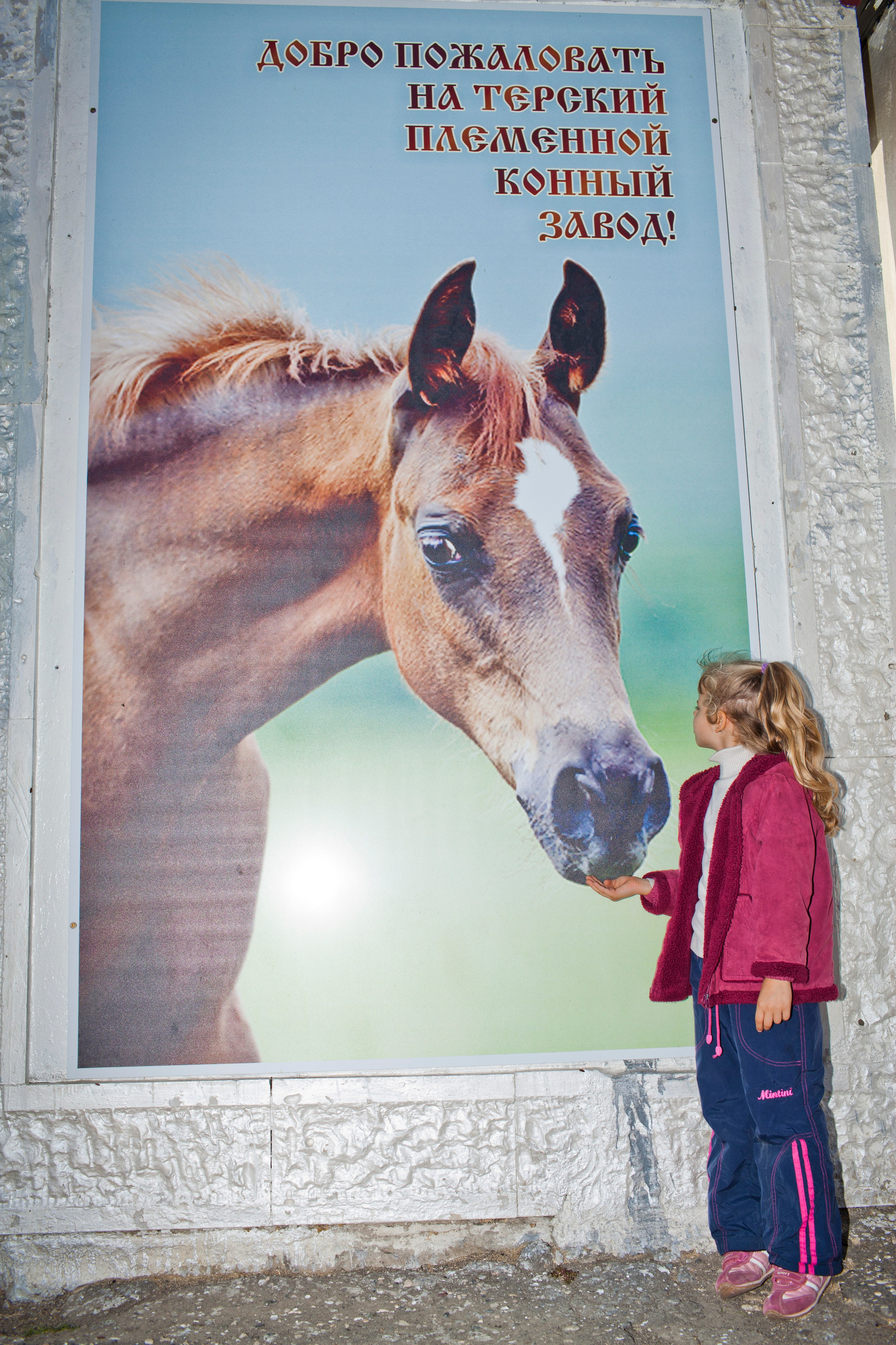 Услуги свадебной, семейной, детской, портретной фотосессии. Медиапродюсер, фотограф в Минеральных Водах —Виктор Холодов
