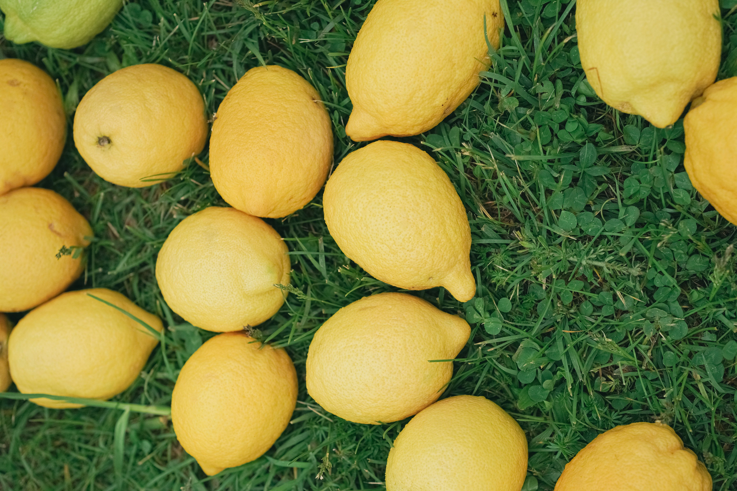 Италия. Свадебный и семейный фотограф Афанасьева Анна в Кисловодске