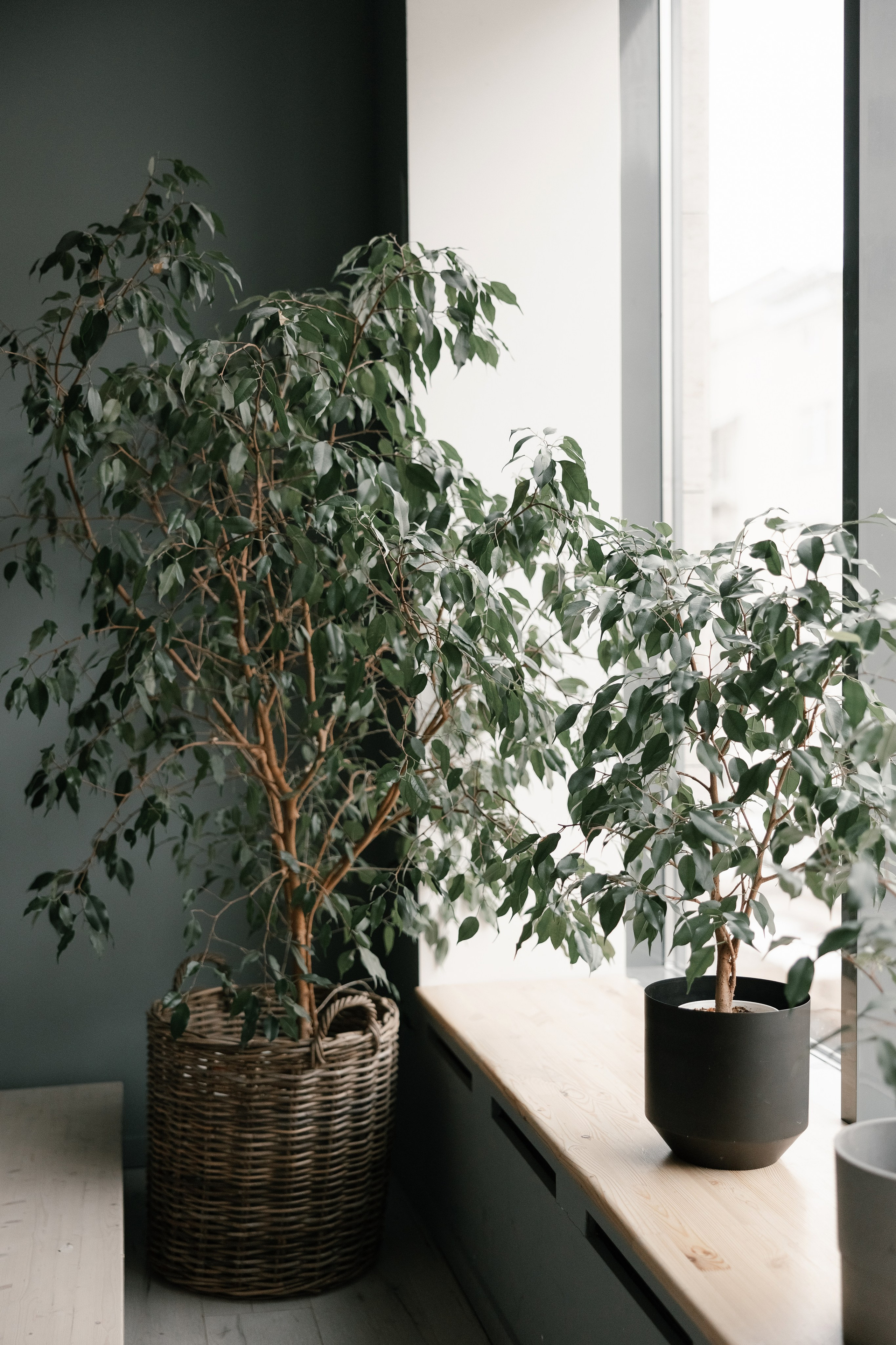 Портретная фотосессия Елены. Свадебный фотограф Москва