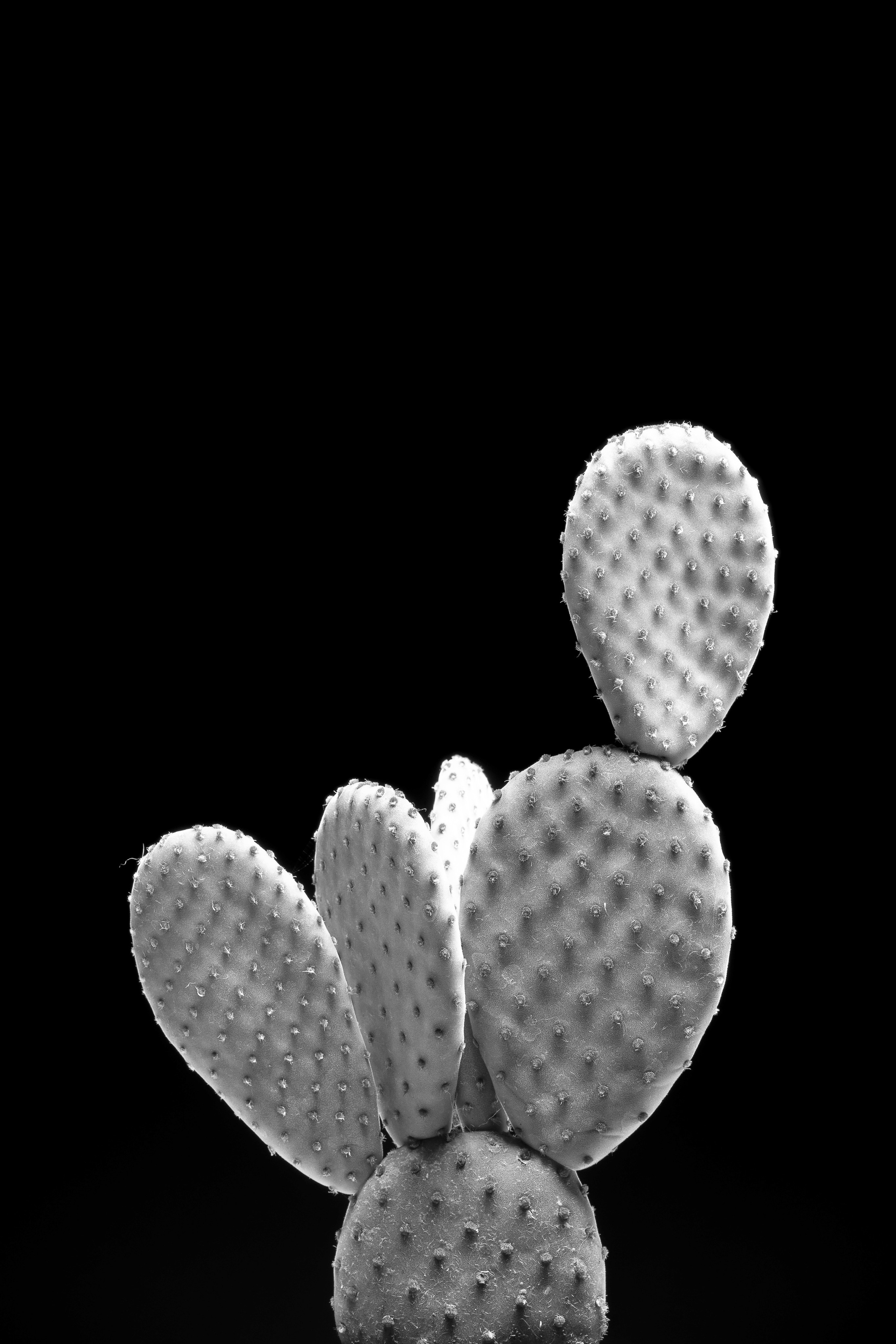 ЧЕРНО-БЕЛЫЕ ФОТОГРАФИИ. Никита Аничкин фото и видео оператор из России