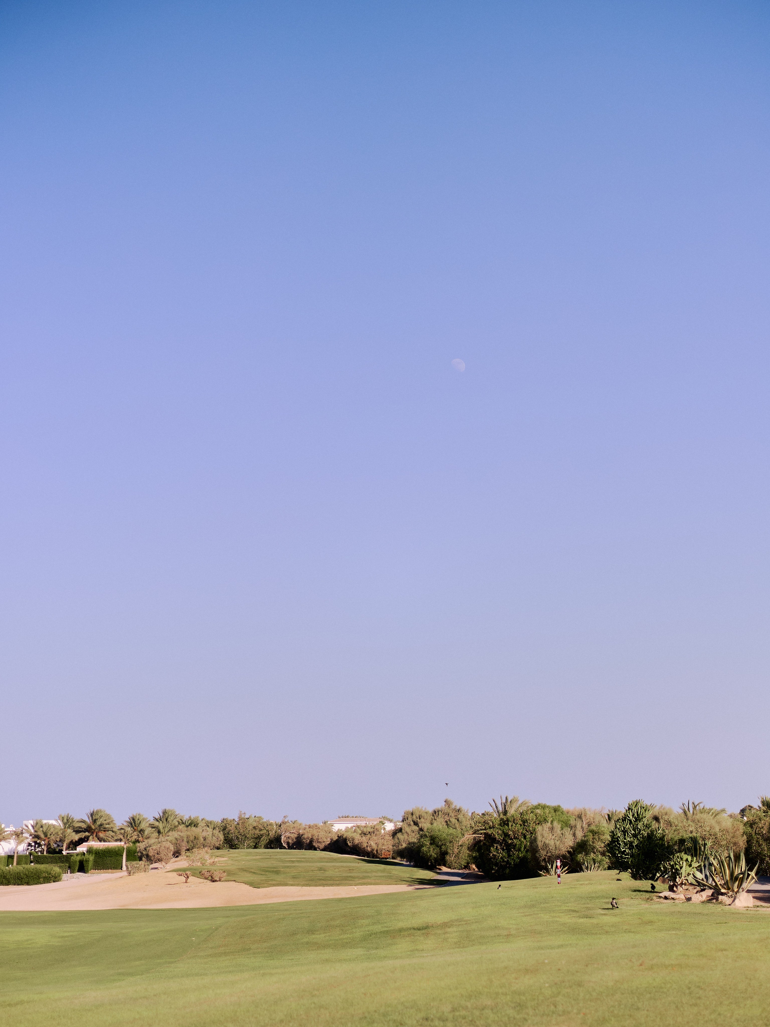 Другое 3. Jorgis Talè — photographer, kind person, teacher of arts and other mag