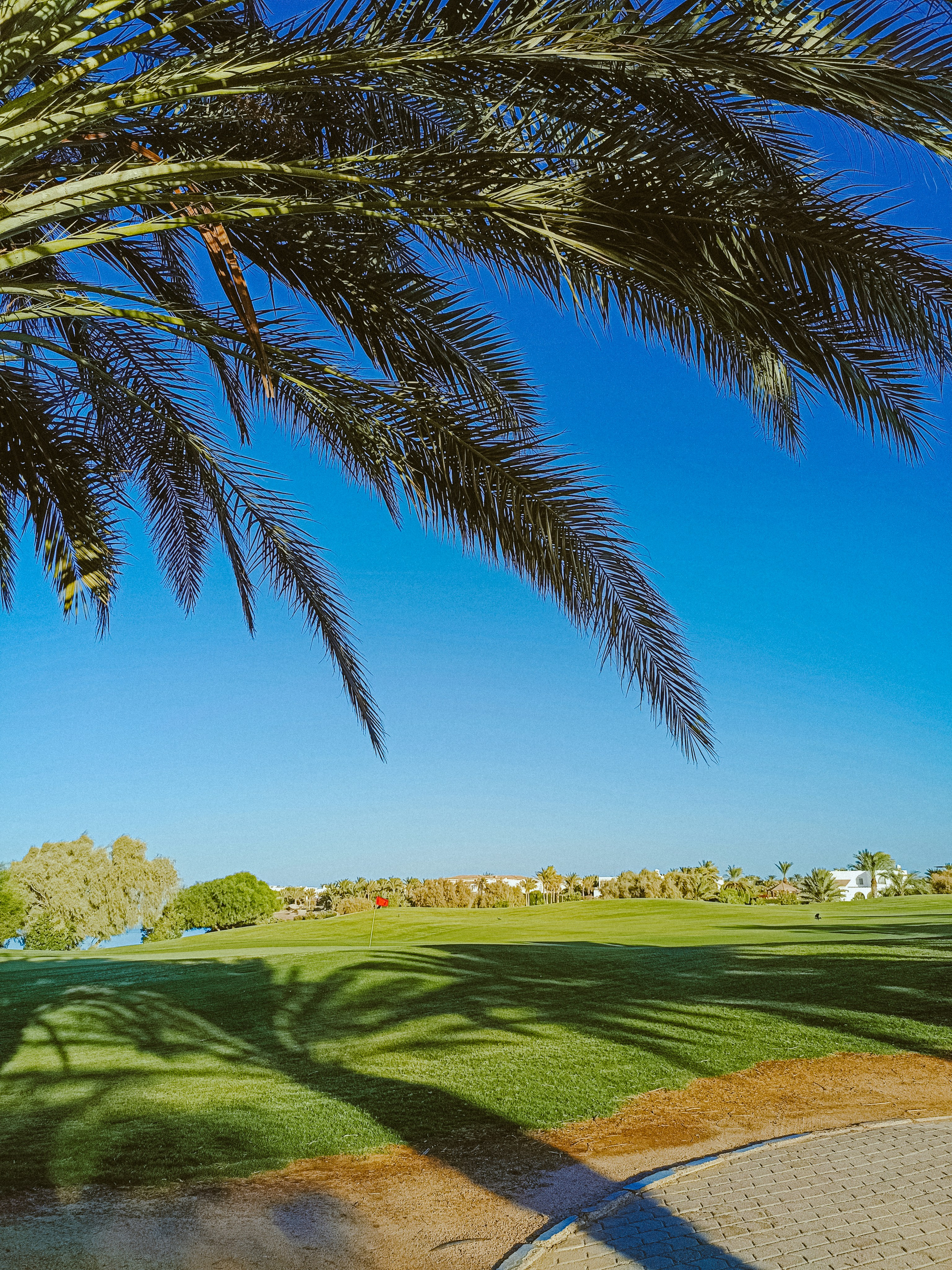 Мобильная. Jorgis — фотограф в Хургаде / обучение фотографии