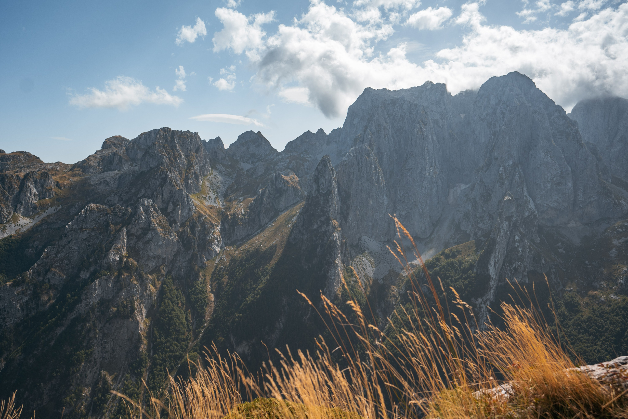 ДОЛИНА ГРЕБАЙЕ. ЧЕРНОГОРИЯ. Фотограф в Белграде Чугреева Елена