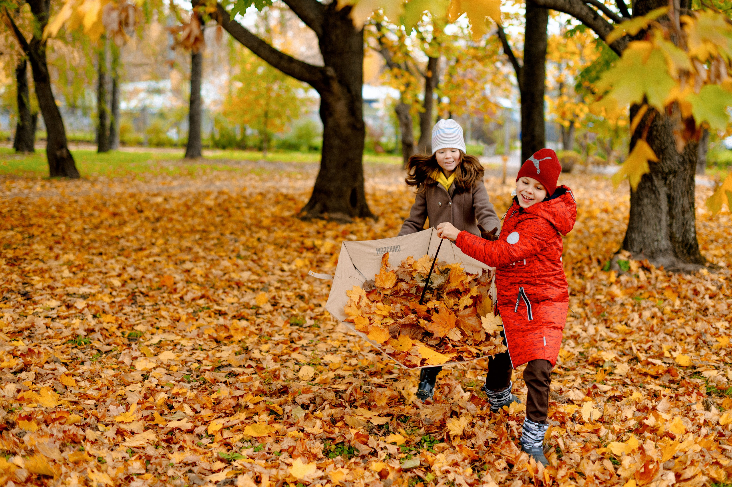 ОСЕННИЙ БОТСАД. Шашкова Вероника / Свадебный и семейный фотограф Москва и Ярославль