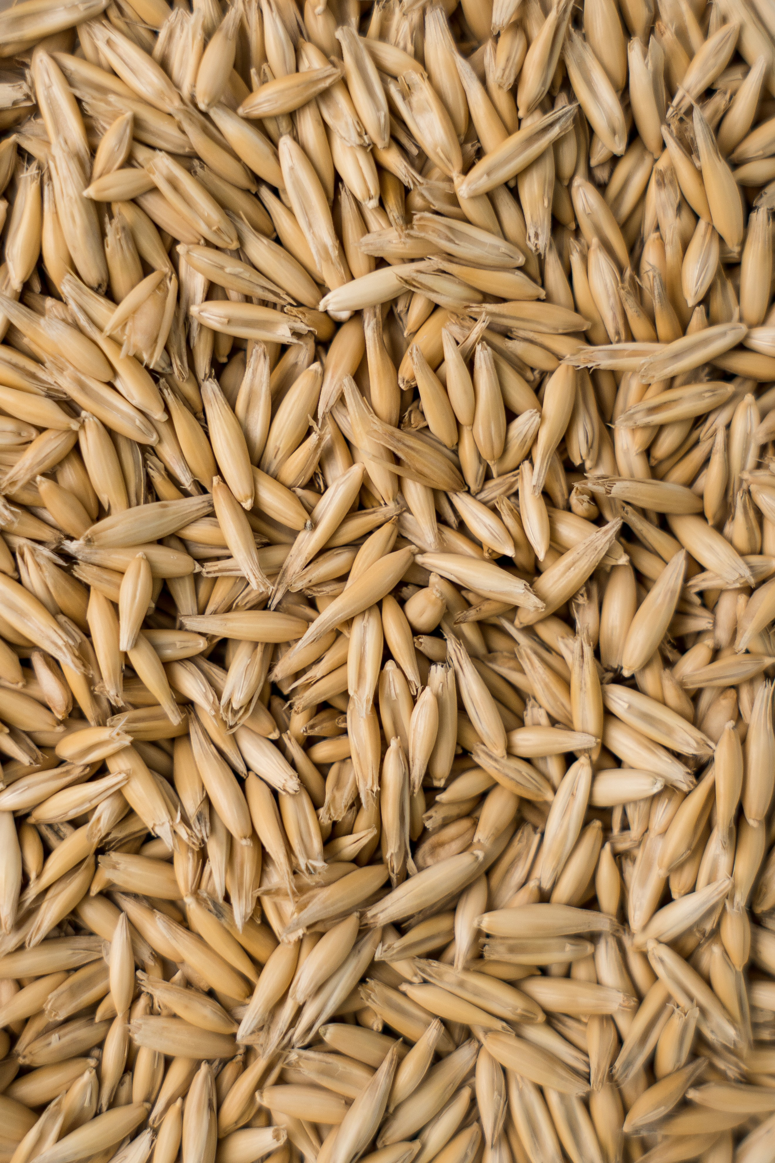 «ЧУДЕСНАЯ ЖИЗНЬ». Фотограф в Москве Казакова Анна