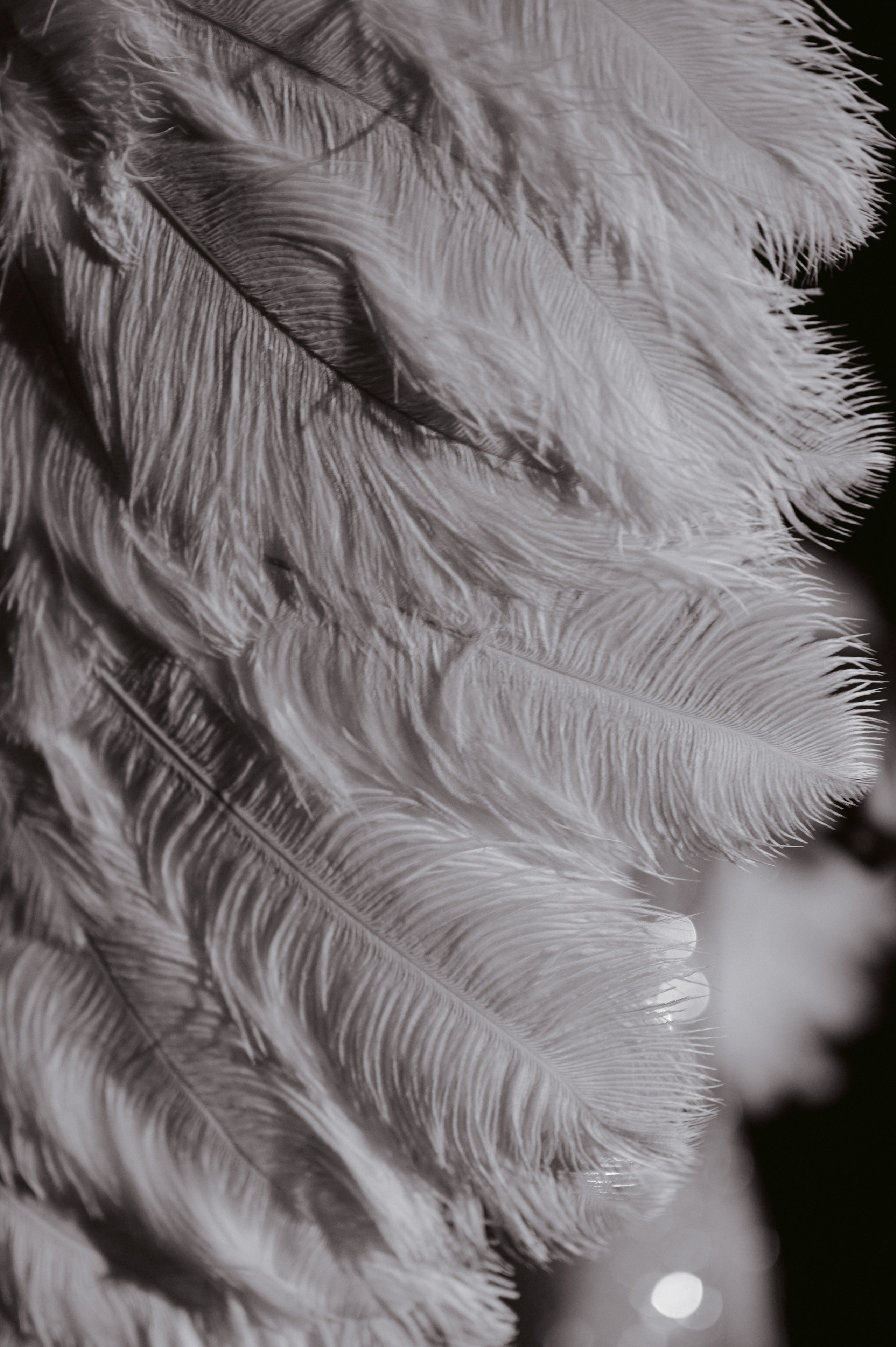 75 лет День Рождения. Свадебный фотограф в Ростовe-на-Дону Анастасия Прутова