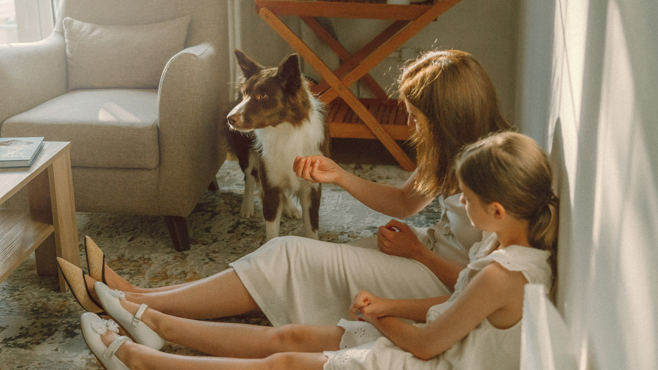 Елена, Валера, Маша и Иви. Фотограф анималист в Москве и Санкт-Петербурге Свиридова Анна