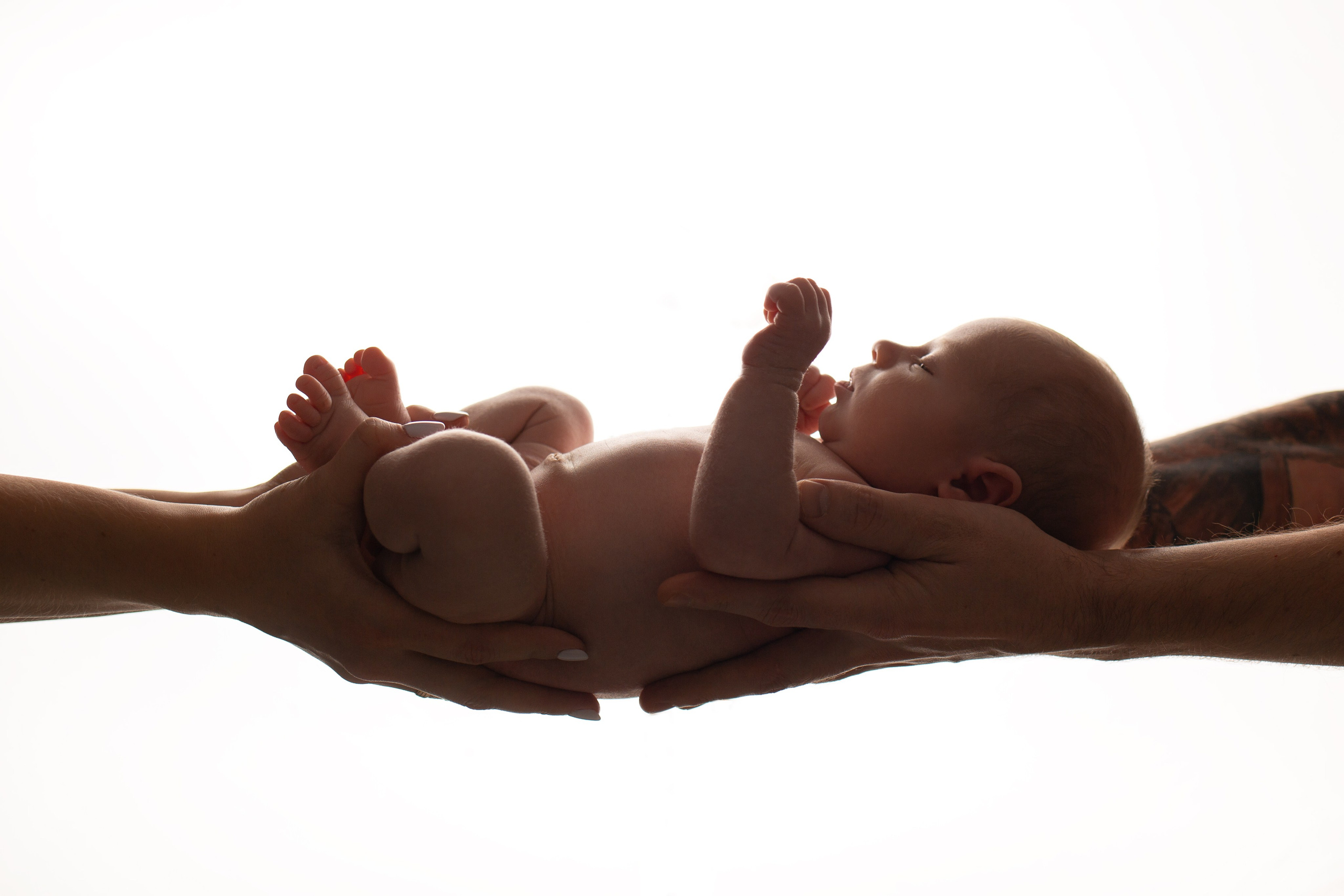 Ньюборн мальчики. Фотограф новорожденных, семейный, детский фотограф в Москве и Московской области