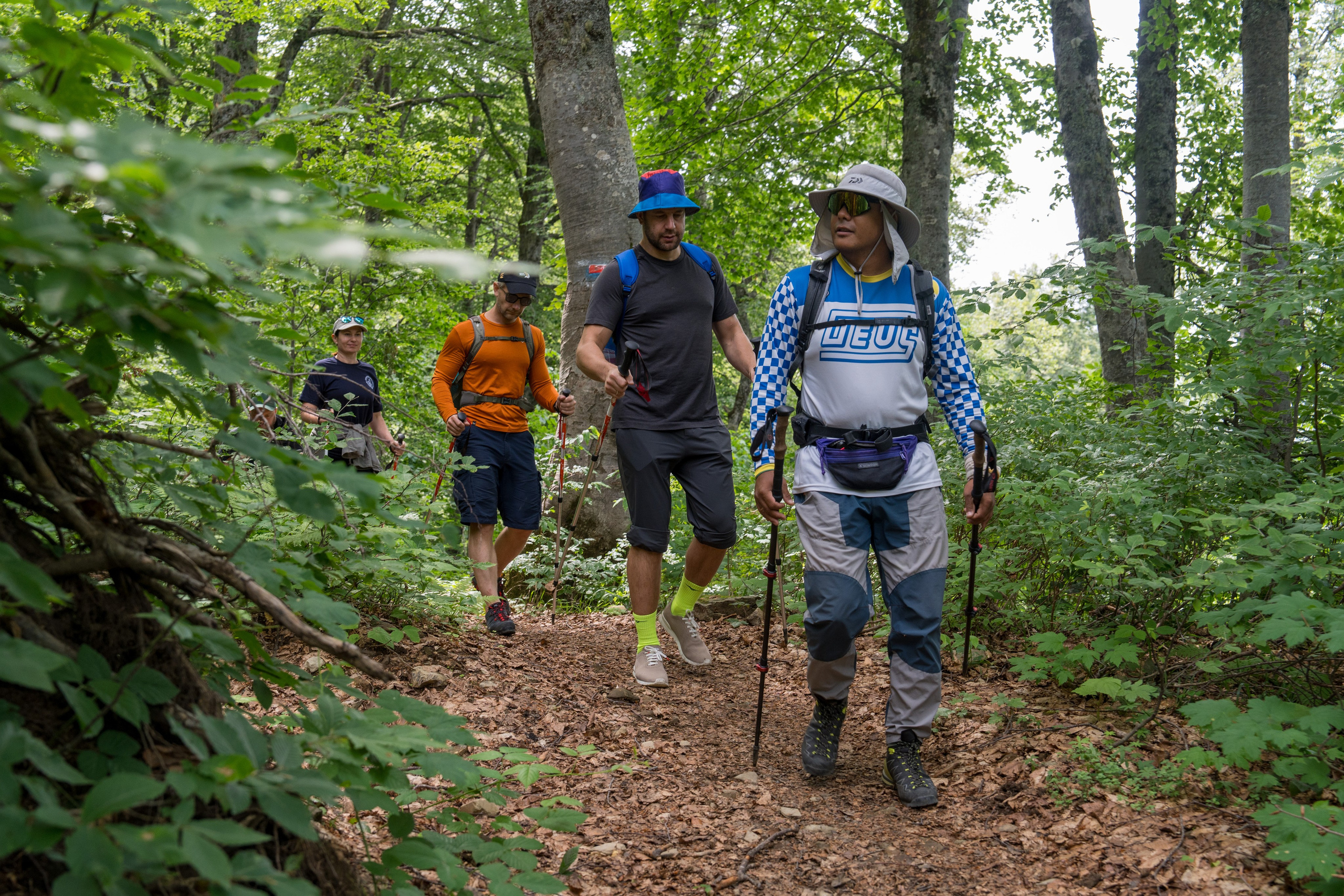 MICE мероприятие для компании «Доставка морем»: хайкинг к Ачипсинским водопадам. Репортажный фотограф в Красной Поляне и Сочи Павлюченко Екатерина