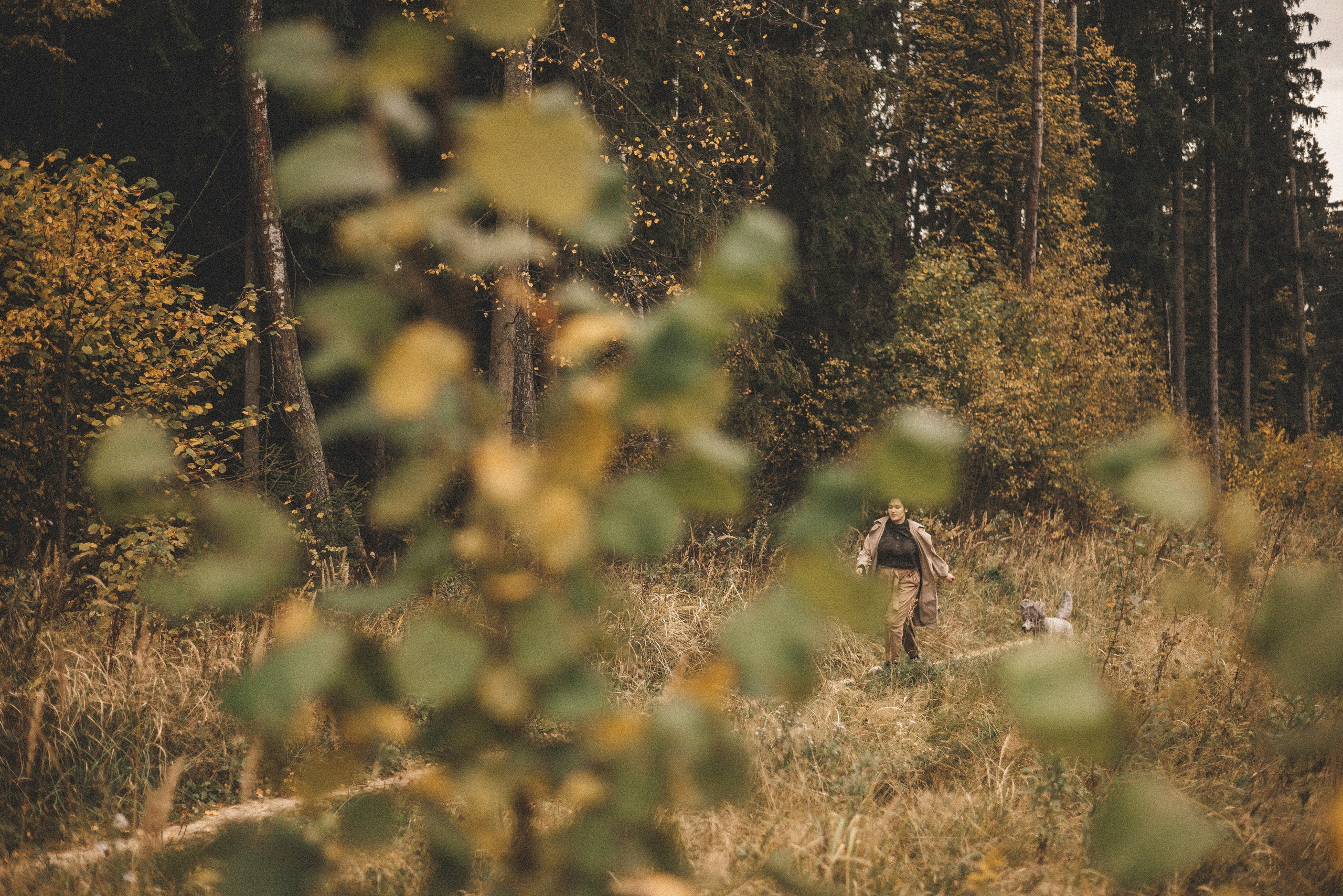 Алёна и Смоки. Фотограф-анималист Богданова Полина