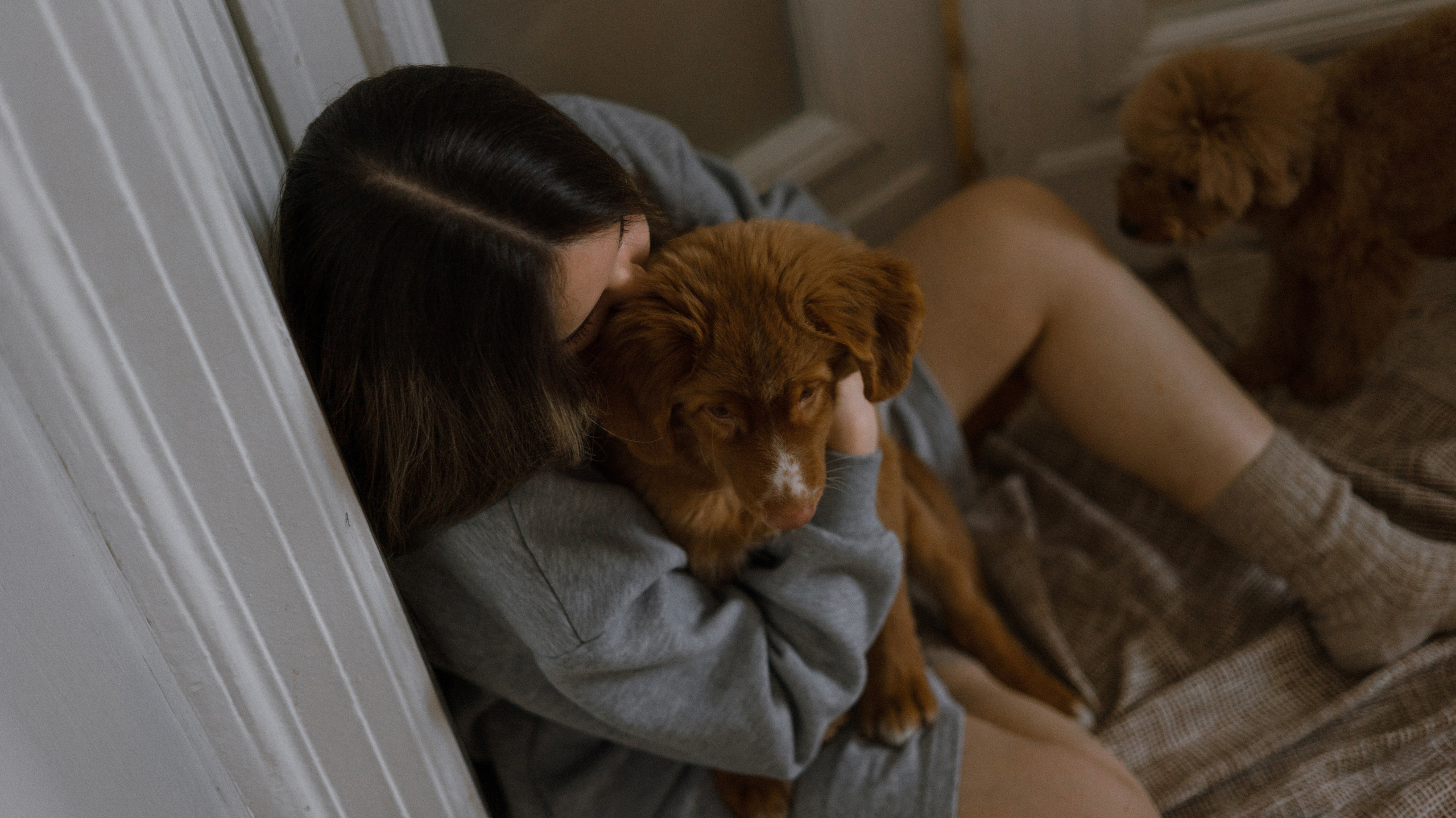 Маша, Одди и Нэвил. Фотограф-анималист Богданова Полина