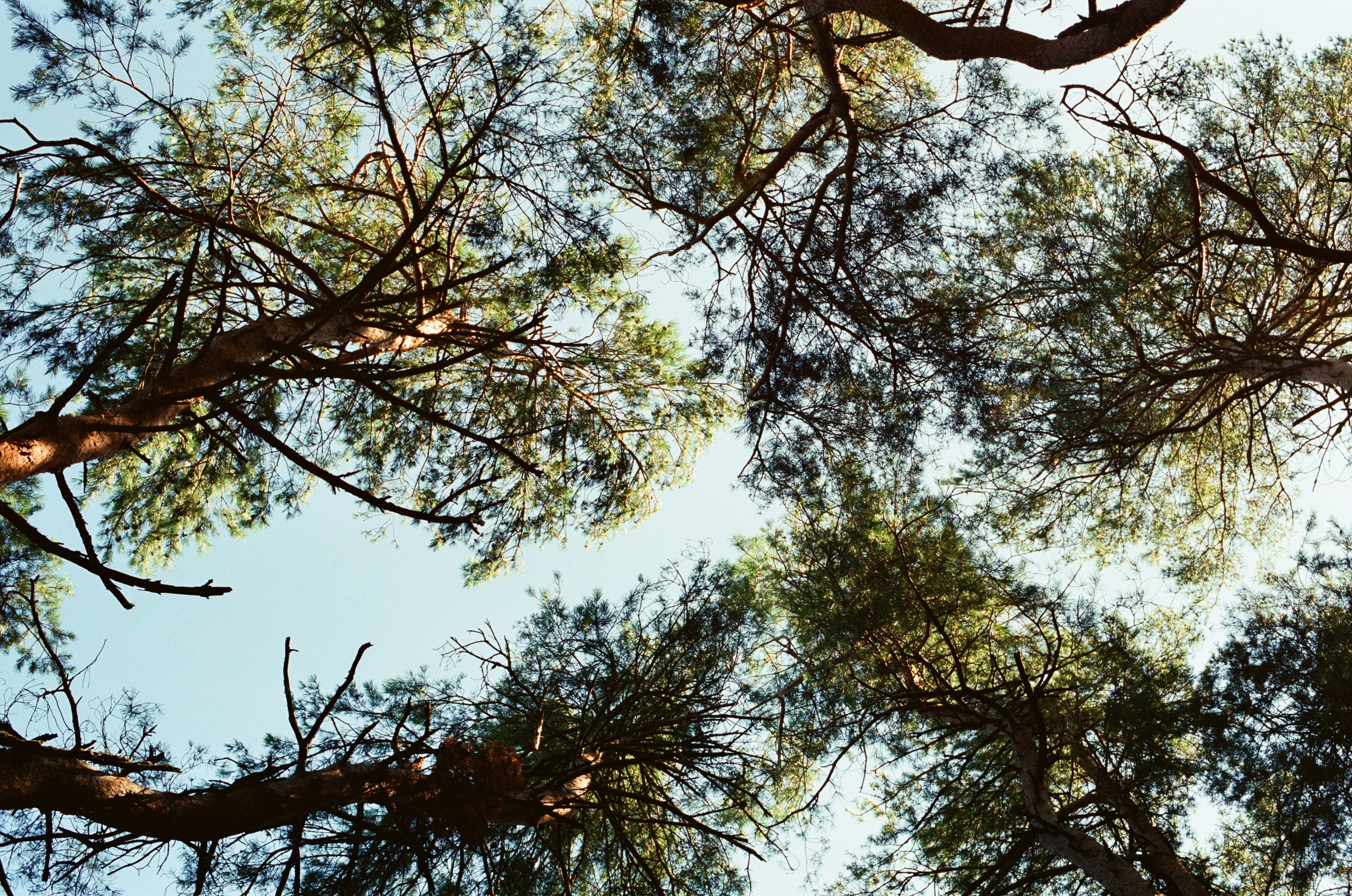 Плёнка🎞️. Фотограф в Москве Ксюшенька