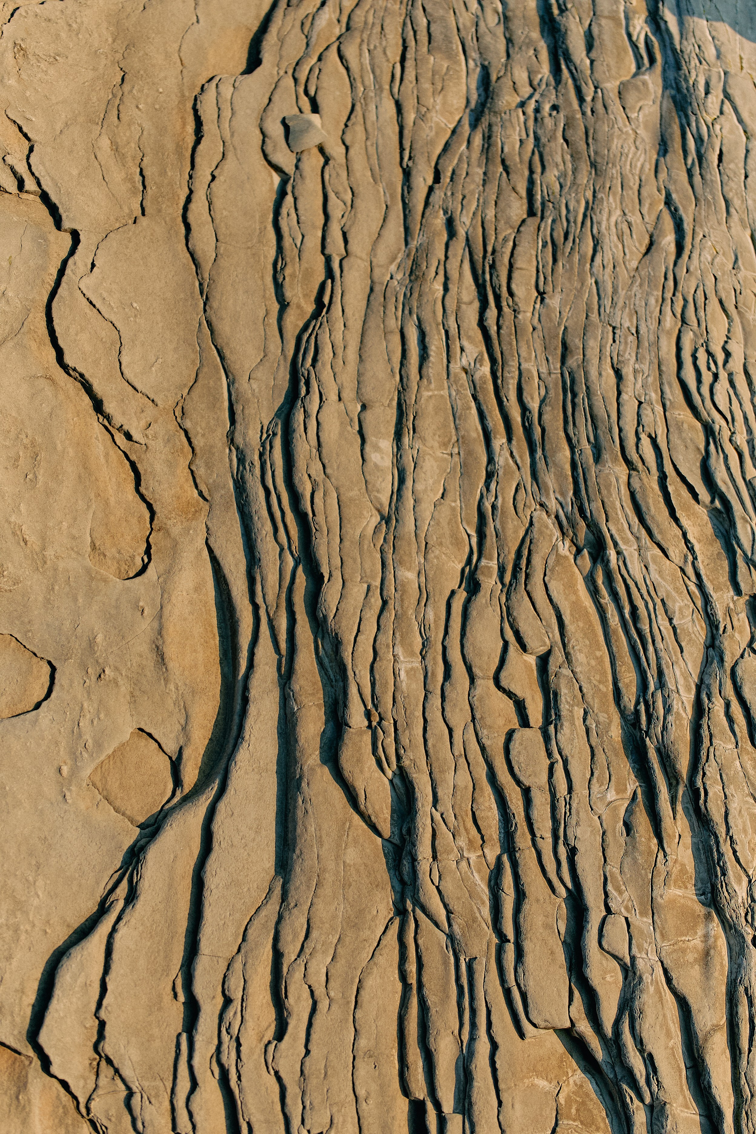 Юг России. Профессиональный Фотограф во Владимире, в Москве и в Суздале — Полина Романычева