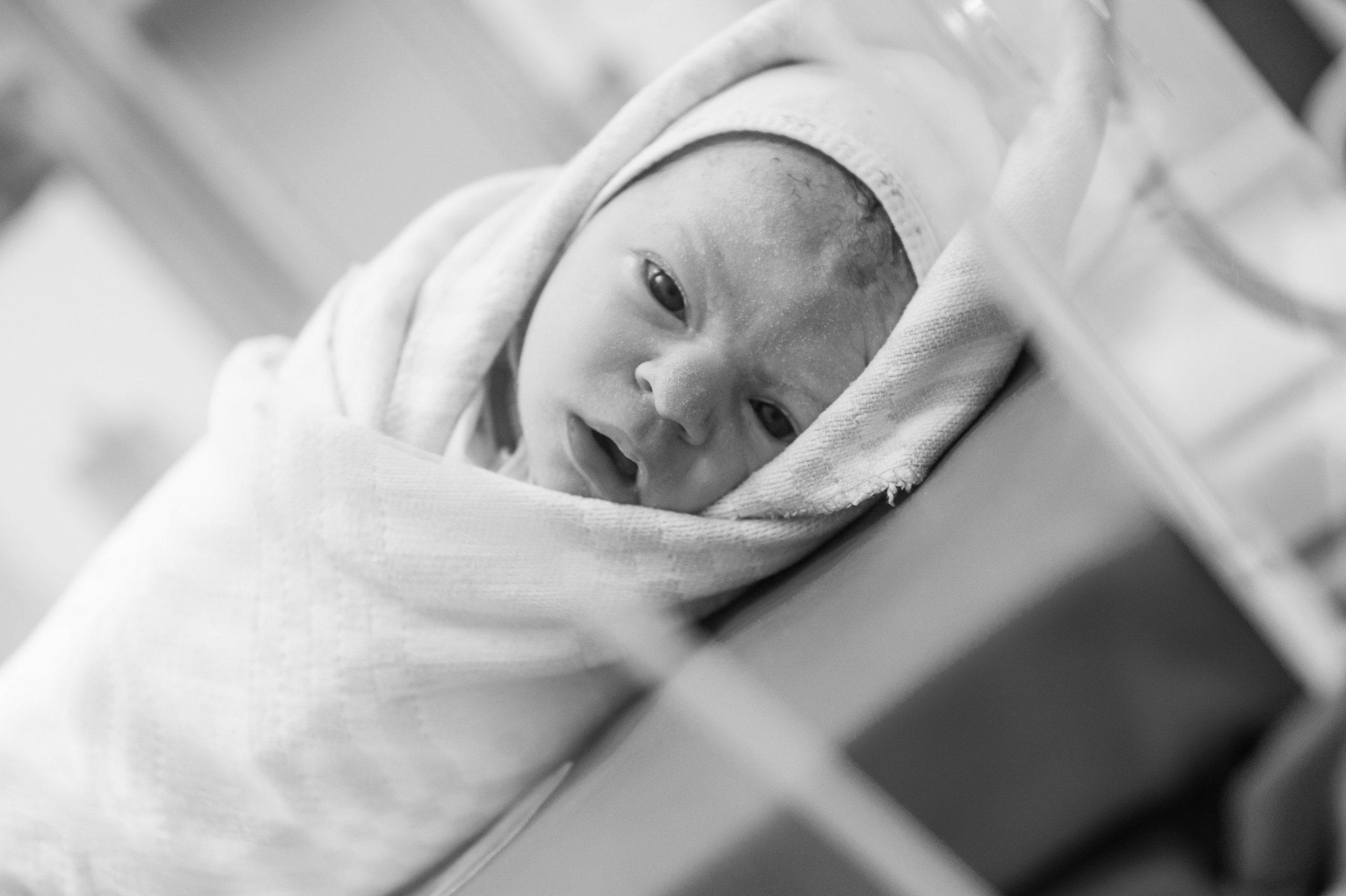 РОДДОМ. Фотограф Вера Демидкова