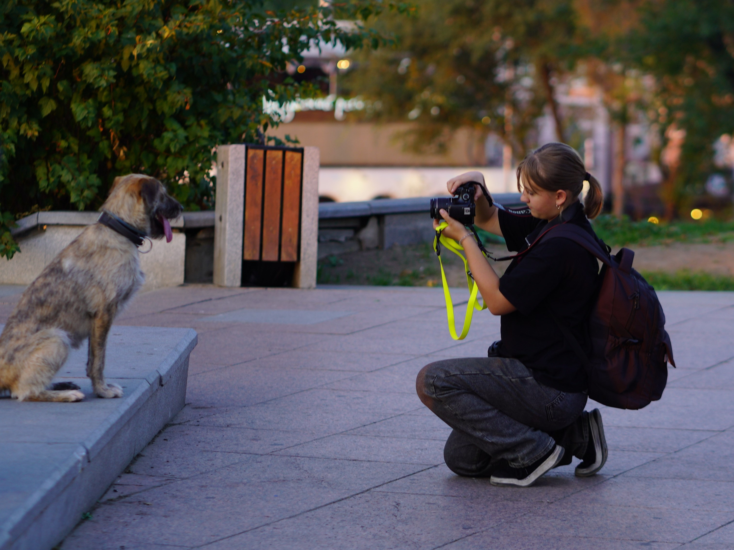 фото собаки с девушкой