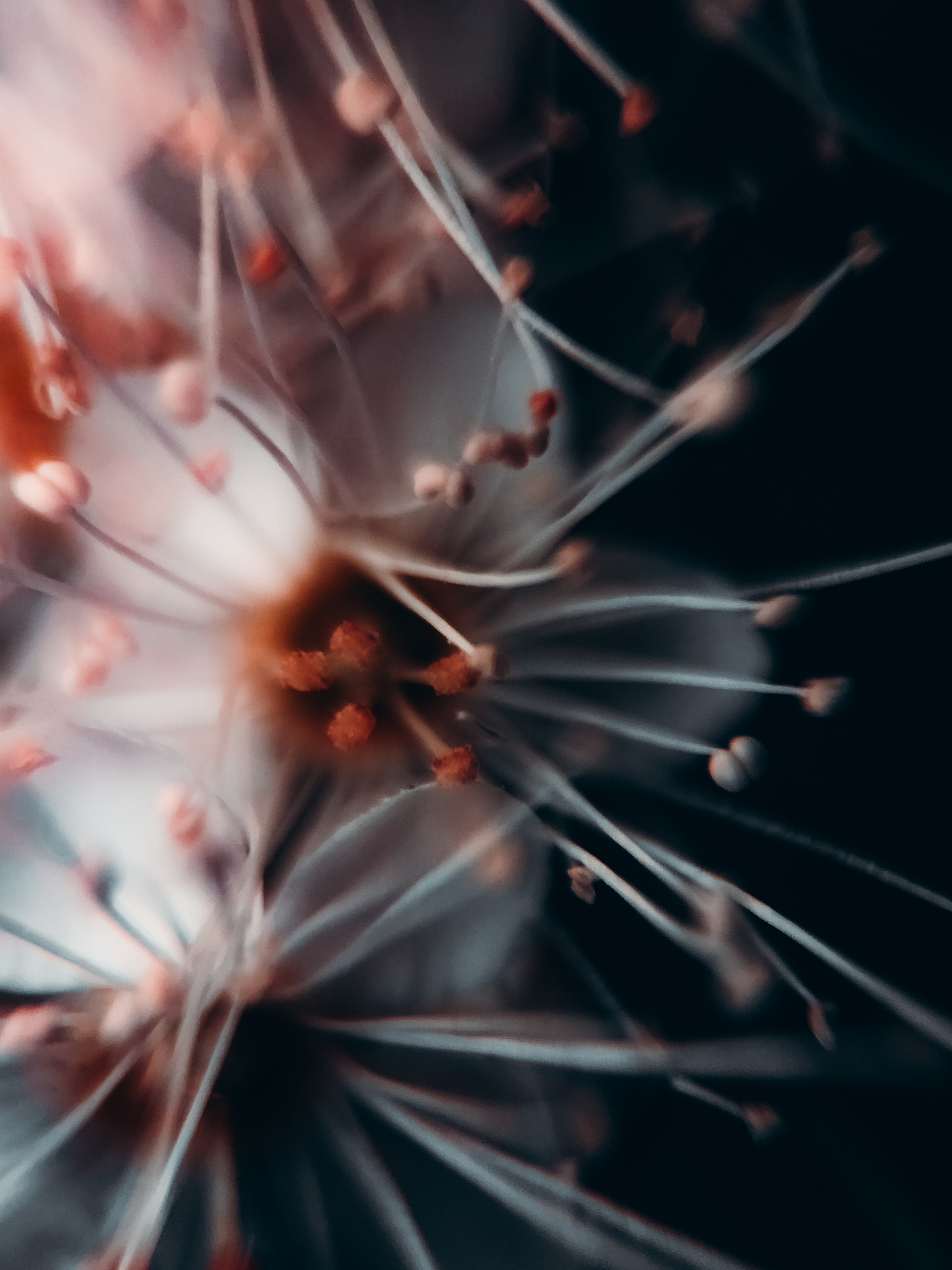 Природа. Фотограф и видеограф DOSERZH (Добрин Сергей) в городе Москва и МО