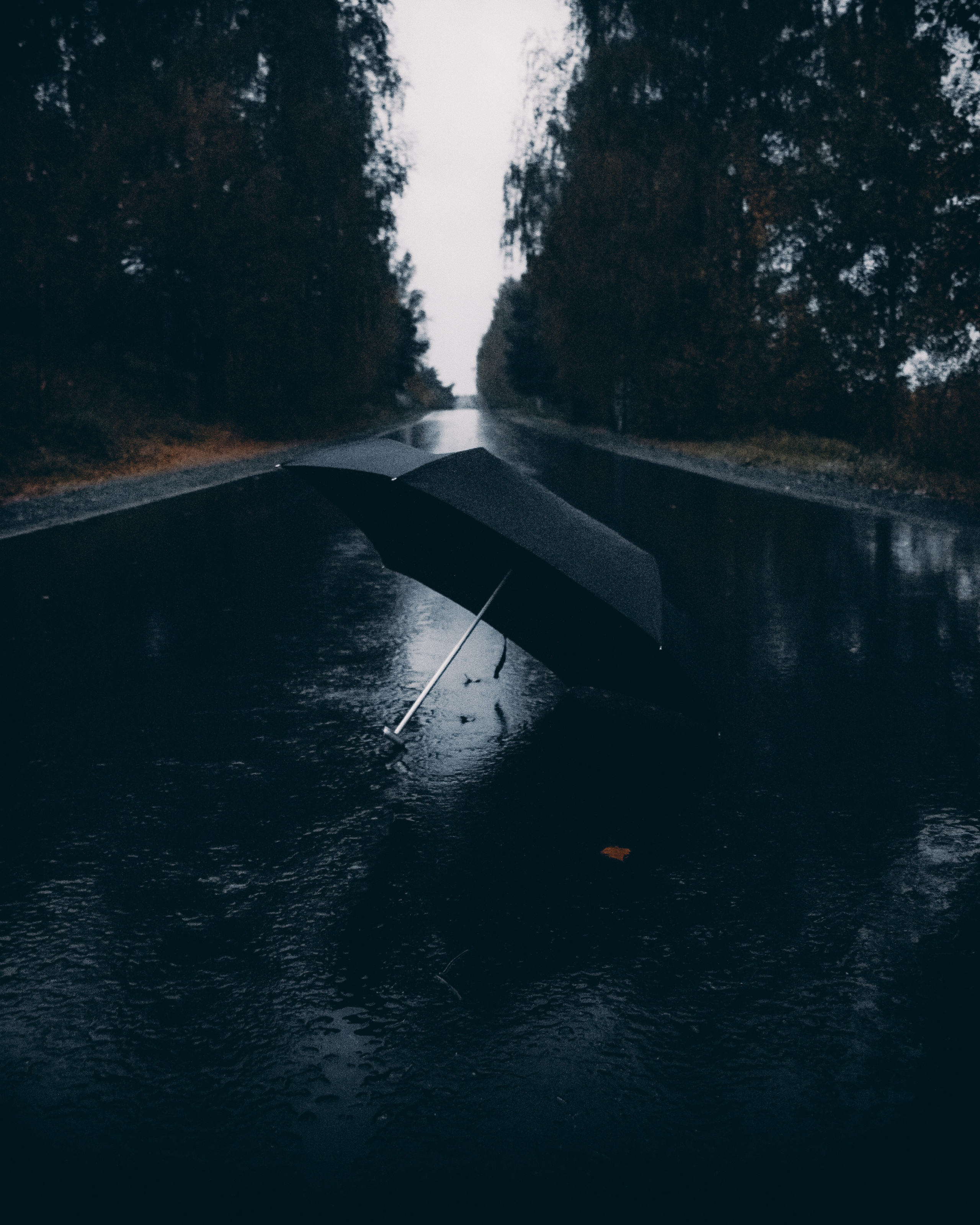 Природа. Фотограф и видеограф DOSERZH (Добрин Сергей) в городе Москва и МО