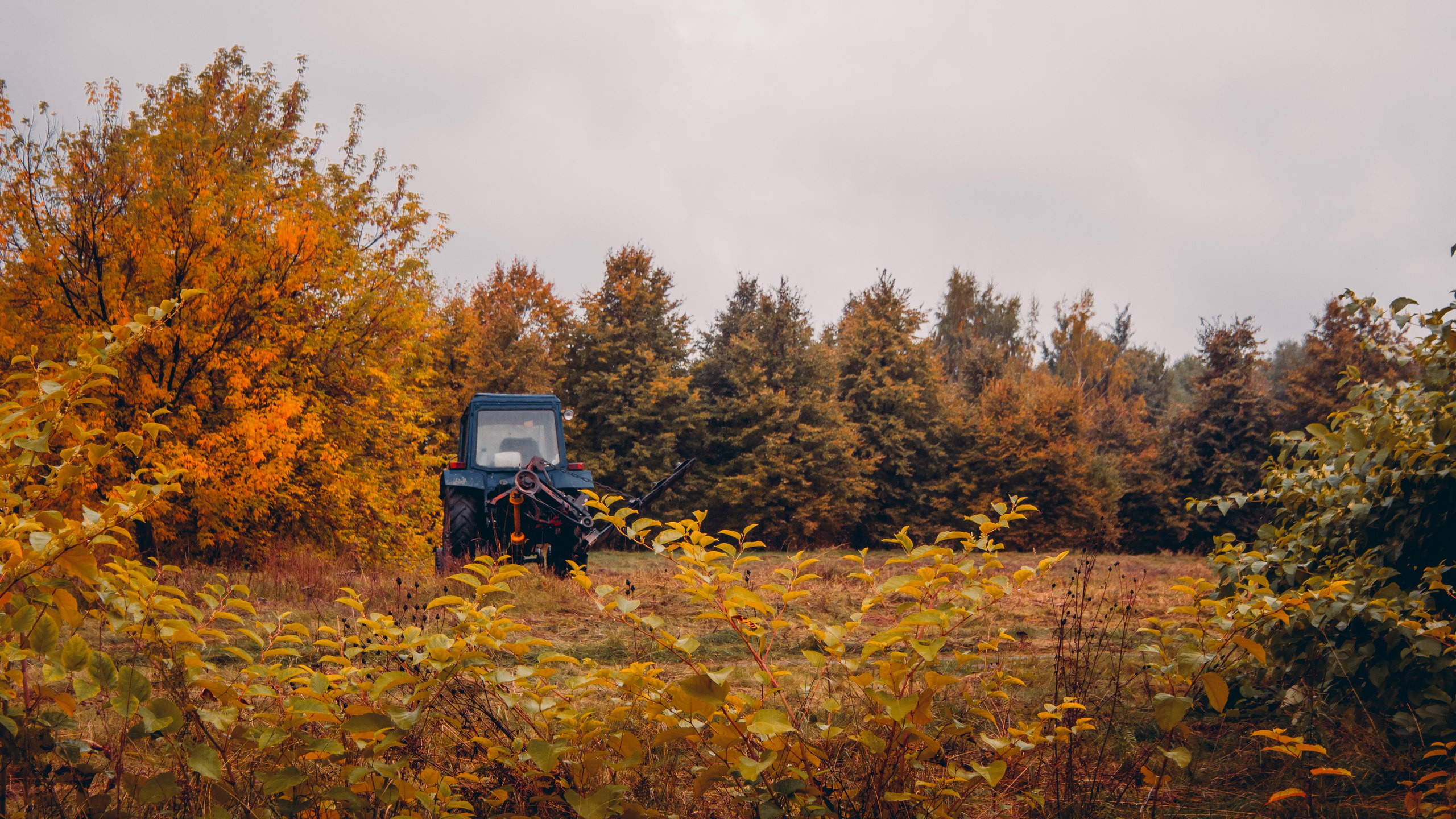 Природа. Фотограф и видеограф DOSERZH (Добрин Сергей) в городе Москва и МО
