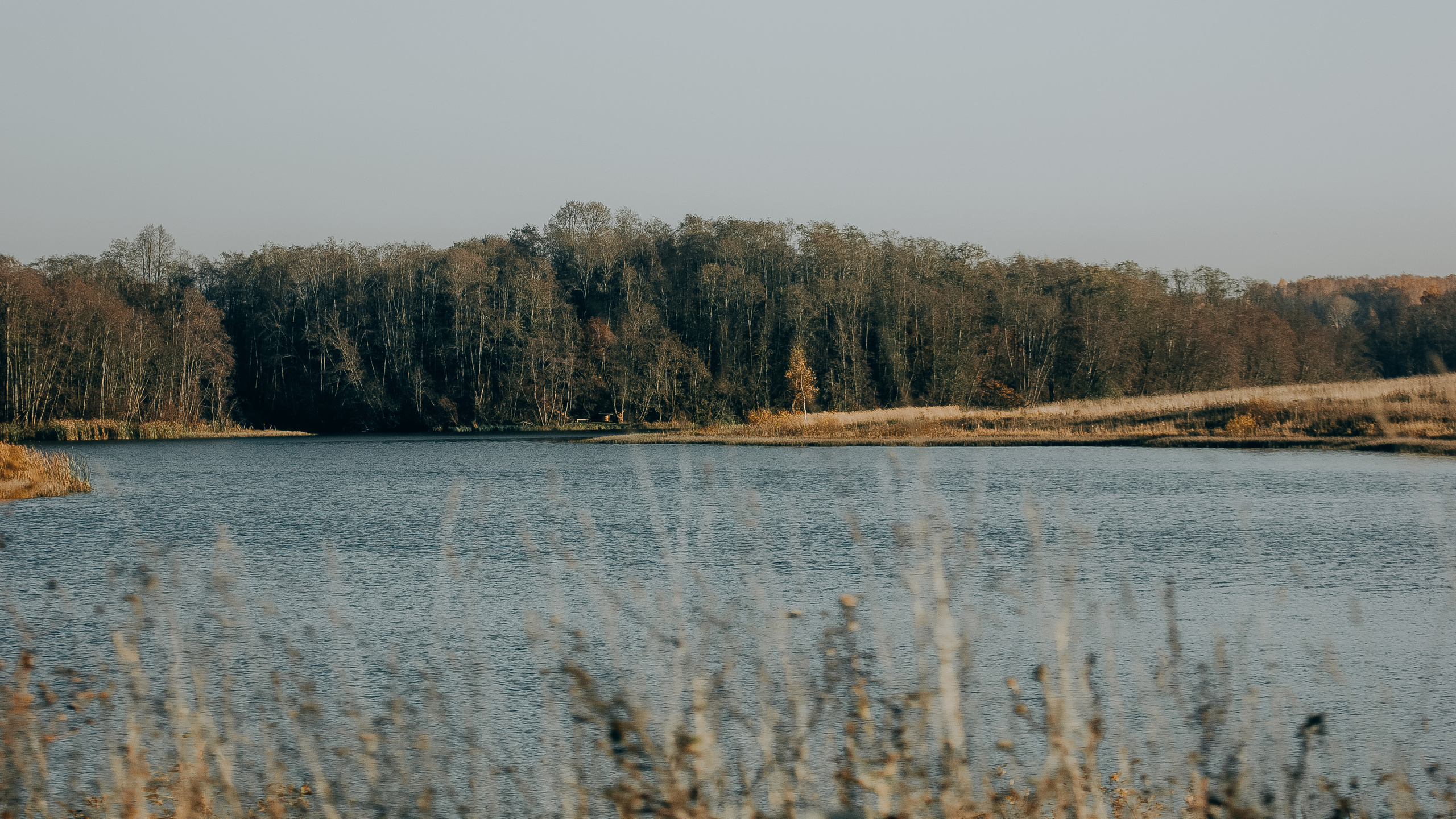 Природа. Фотограф и видеограф DOSERZH (Добрин Сергей) в городе Москва и МО
