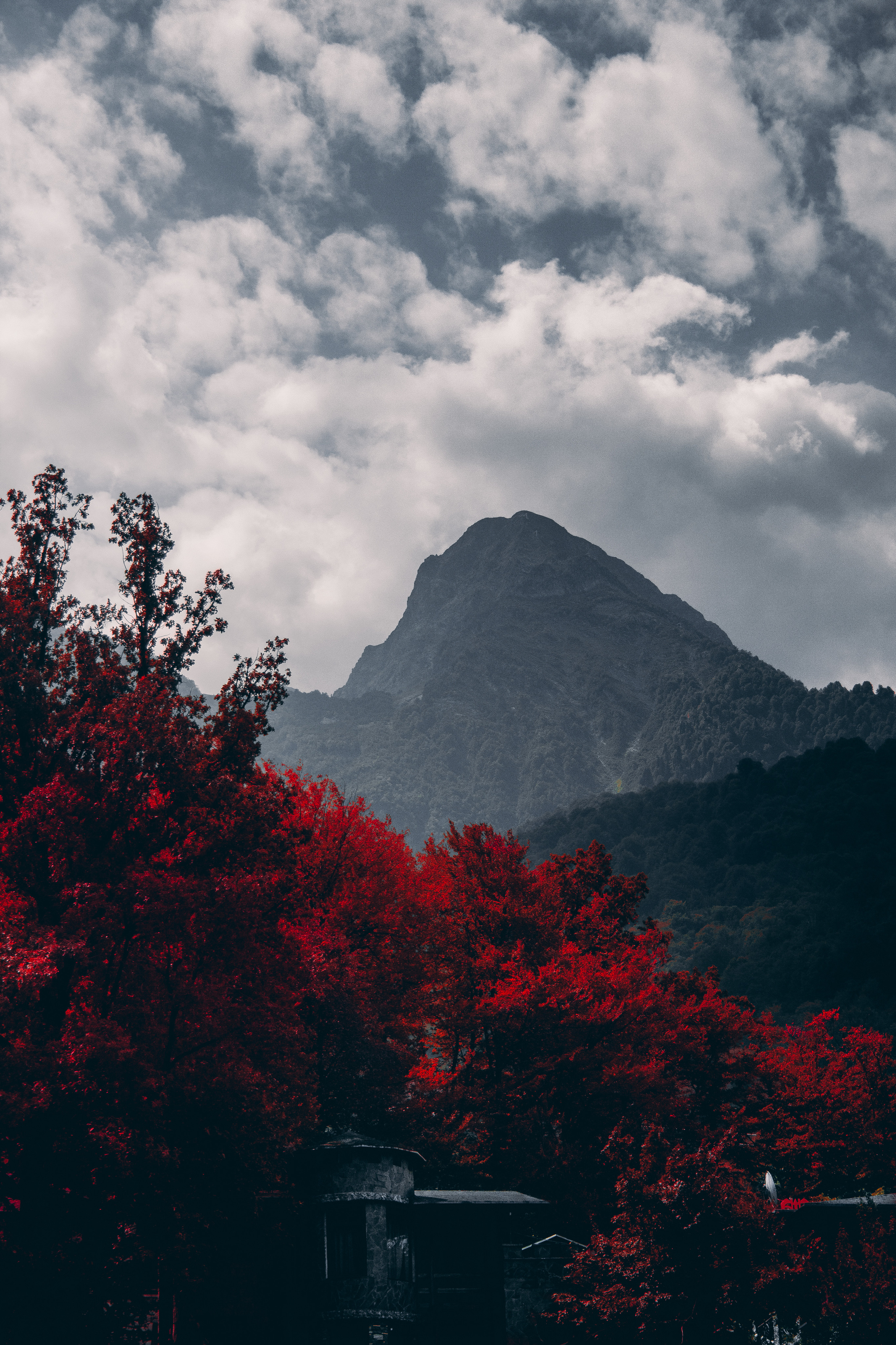 Природа. Фотограф и видеограф DOSERZH (Добрин Сергей) в городе Москва и МО
