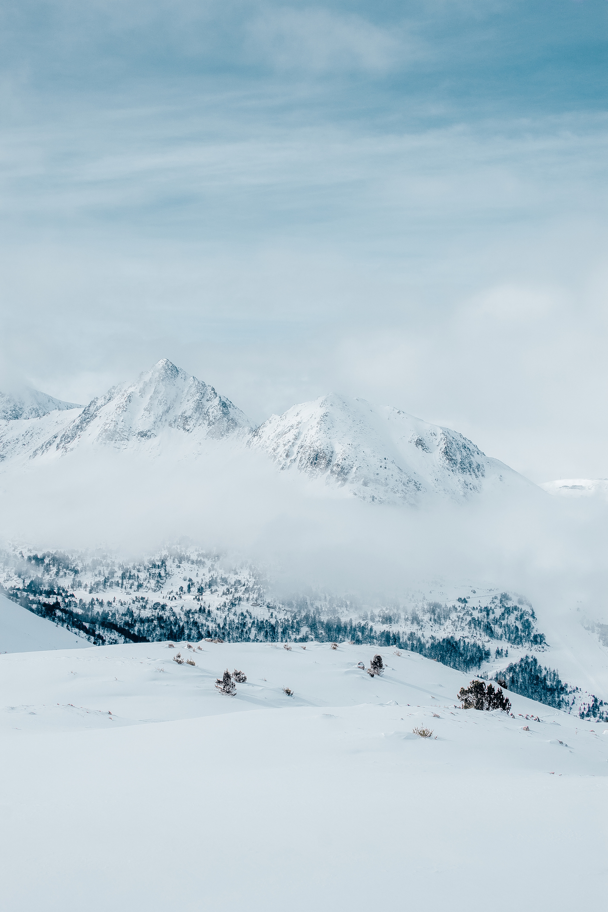 Природа. Фотограф и видеограф DOSERZH (Добрин Сергей) в городе Москва и МО