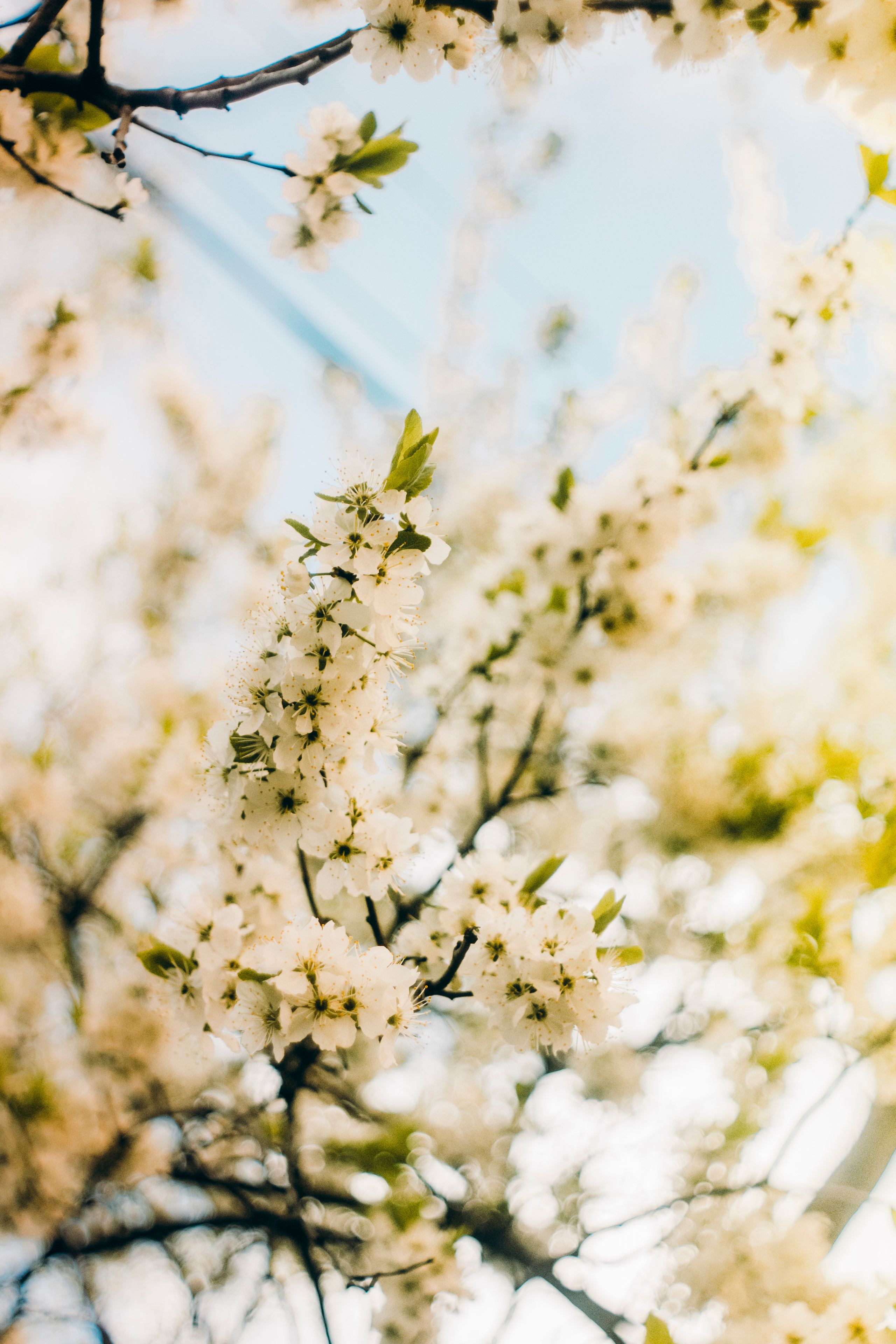 Природа. Фотограф и видеограф DOSERZH (Добрин Сергей) в городе Москва и МО