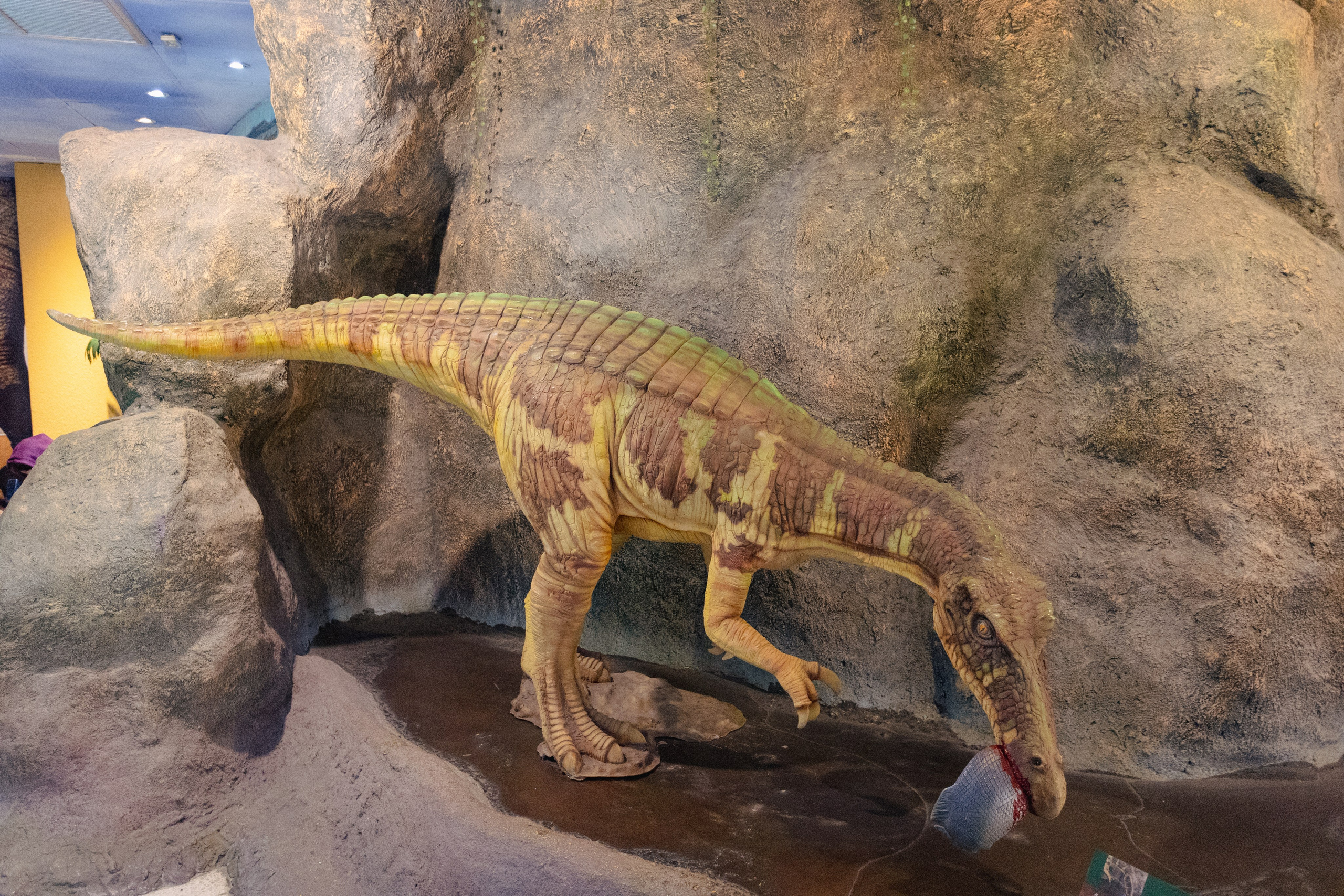 Bangkok Planetarium. Photographer Sonkina Tatiana (Tanya Ash)