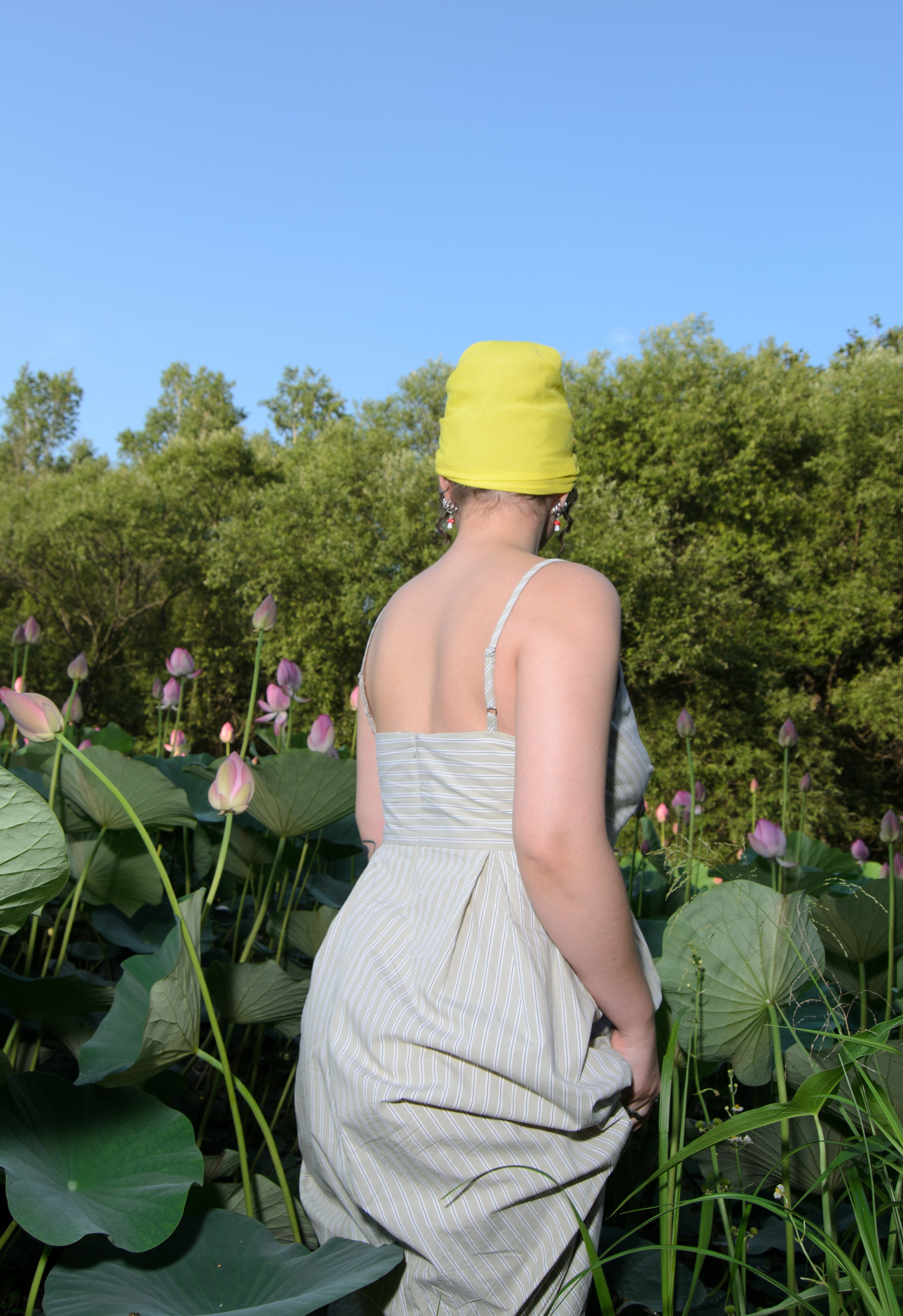 Лотосы. Колентеева Наталья/фотограф