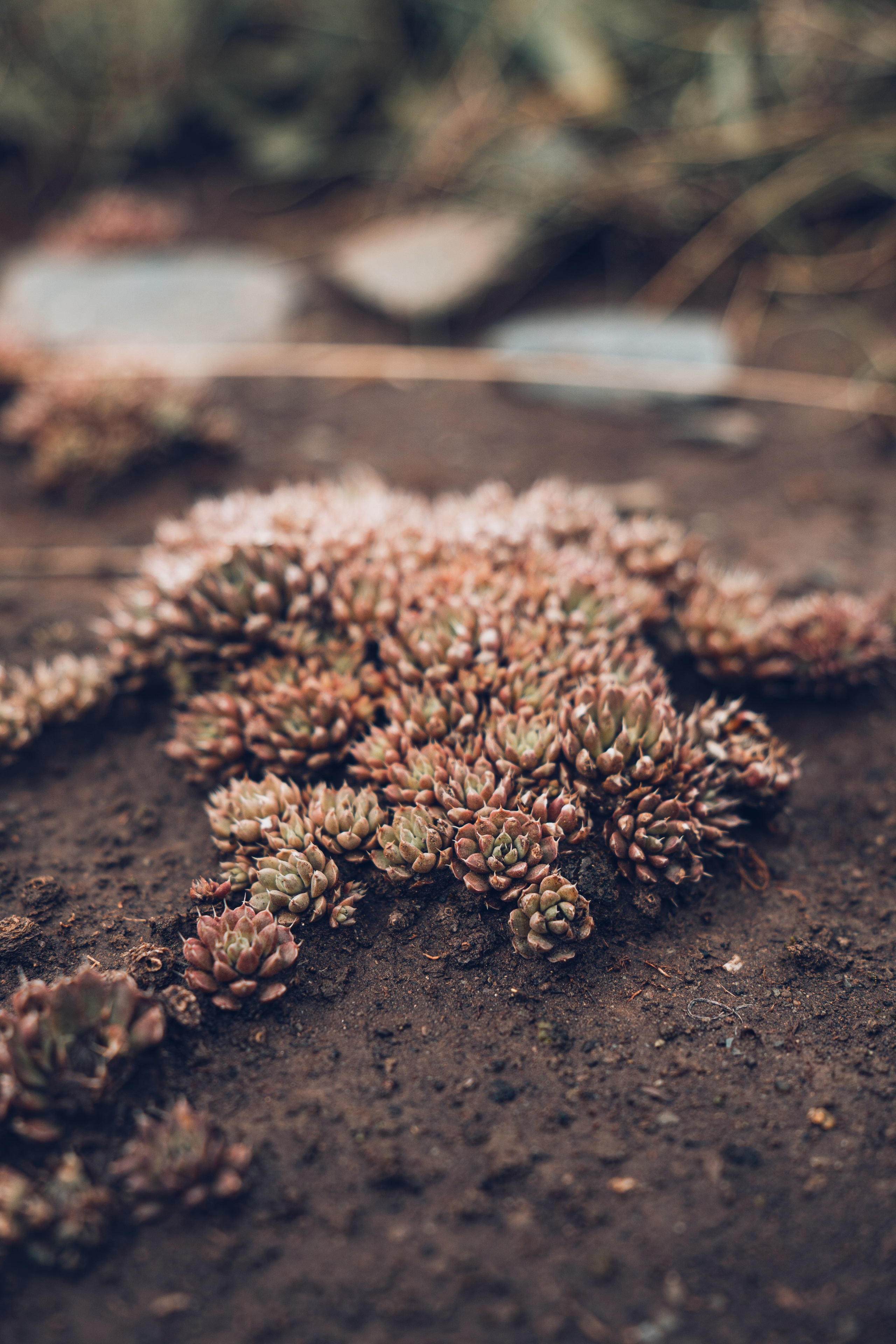 Алтай. Gusarov Travel Photography