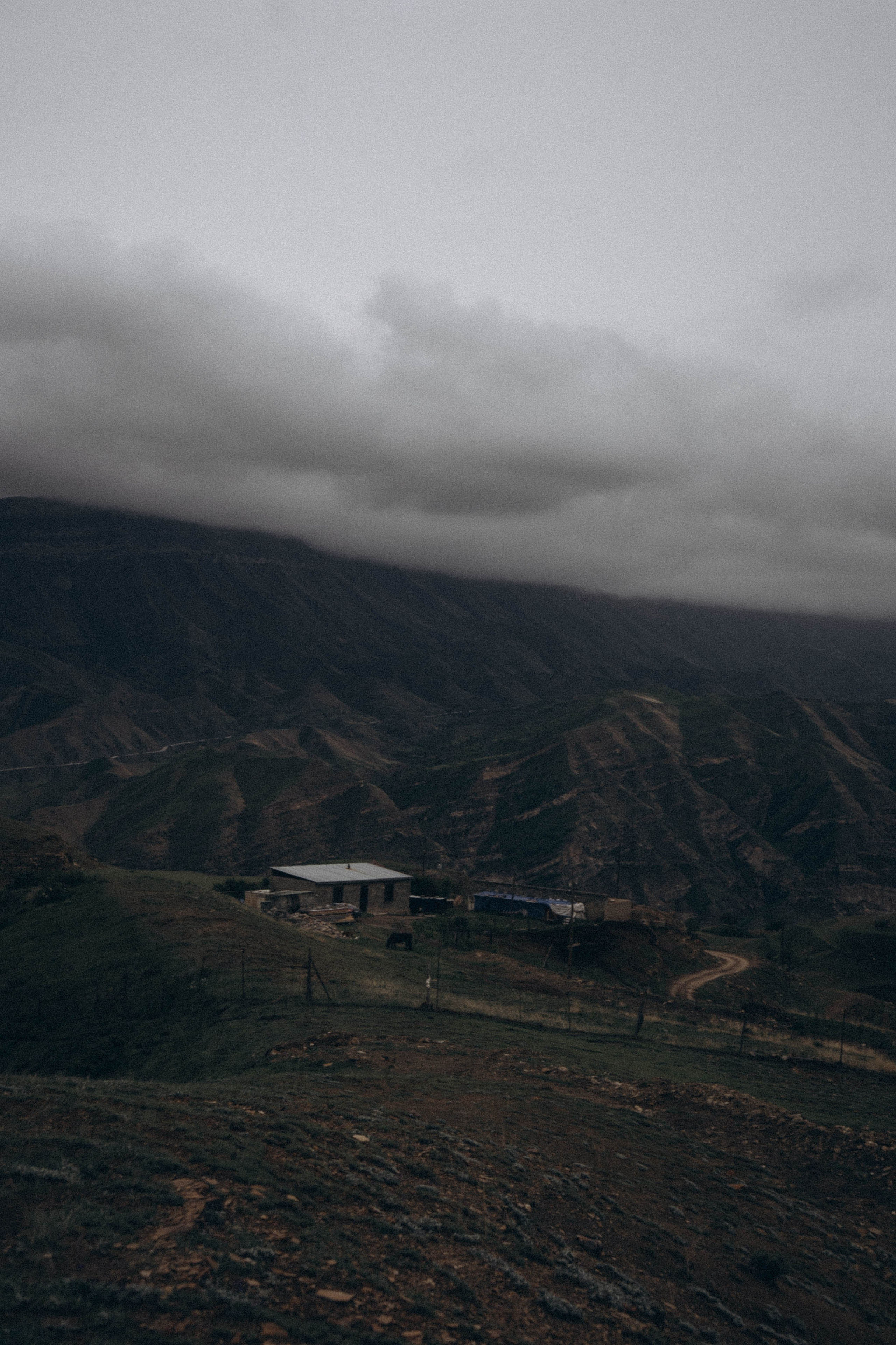 Кавказ. Профессиональный фотограф, Санкт-Петербург — Виктория Богомолова