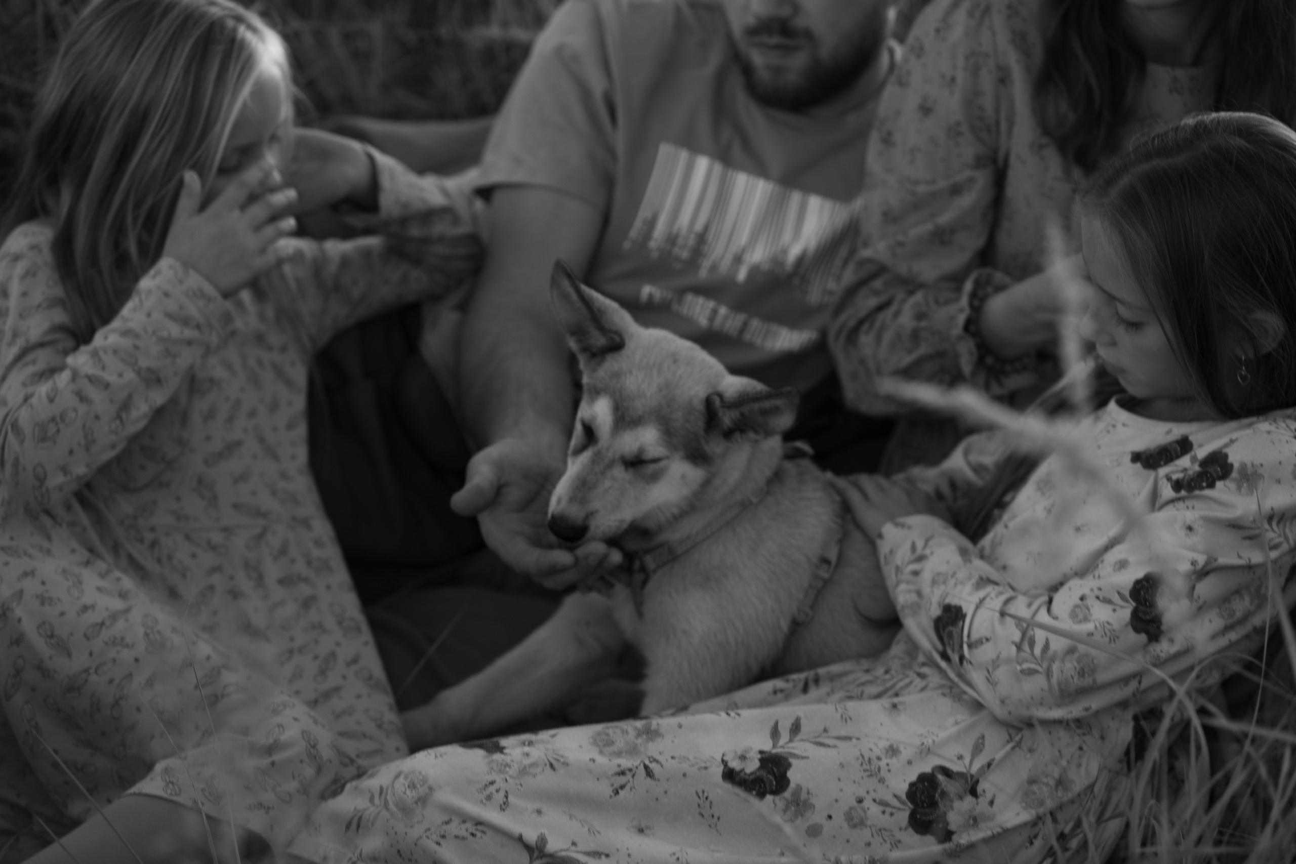 Семейная съемка для Александры. Фотограф Катя Стрельцова