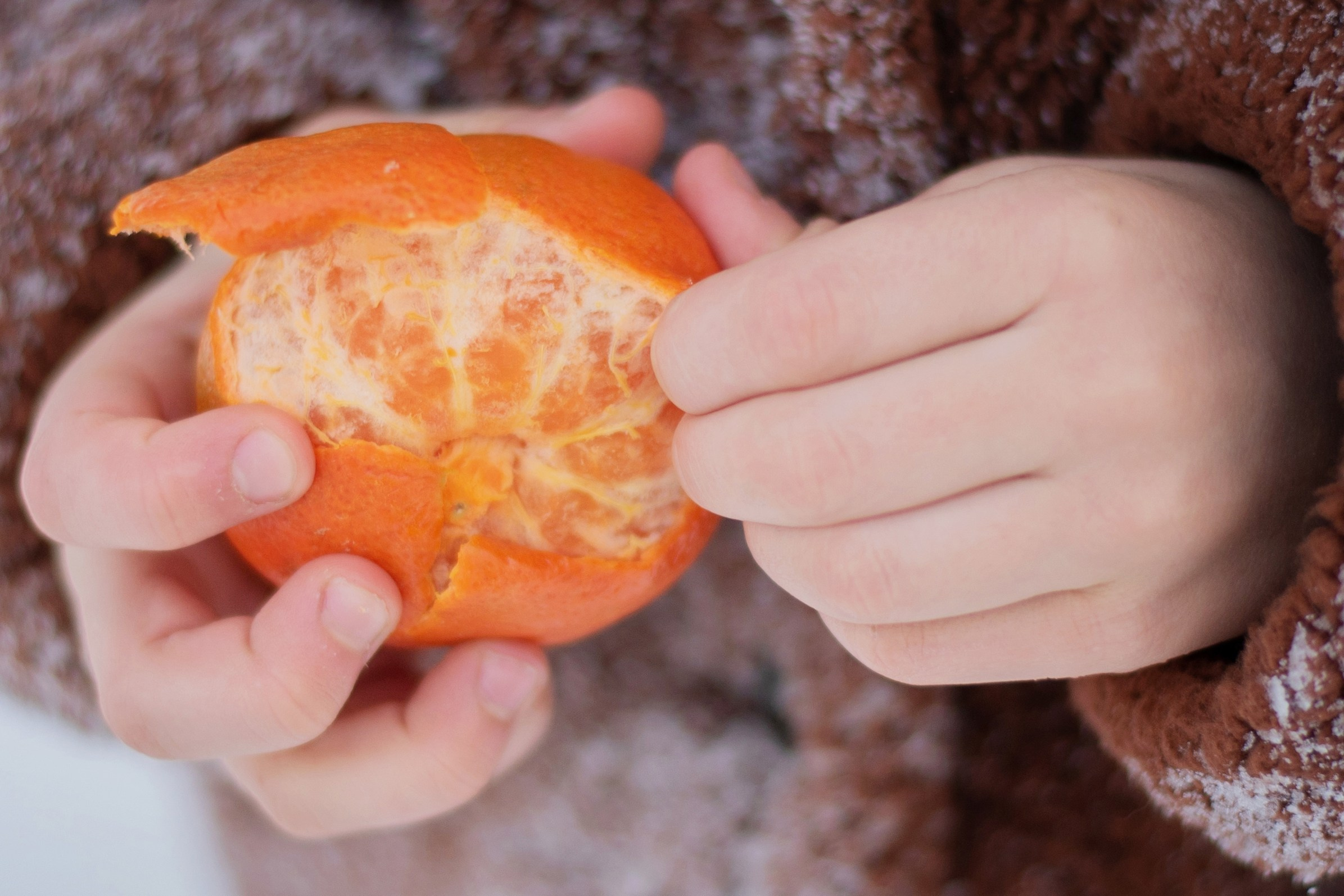 Зима. Лина Курочка — ваш фотограф