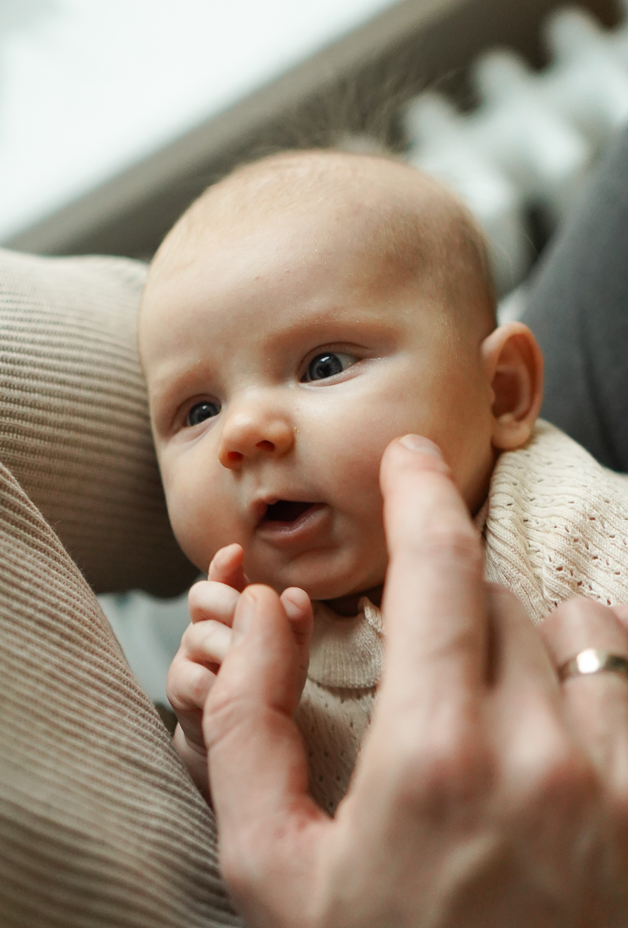 Новый год вчетвером. Семейный фотограф в Москве Коровушкина Наталья. Съемка контента