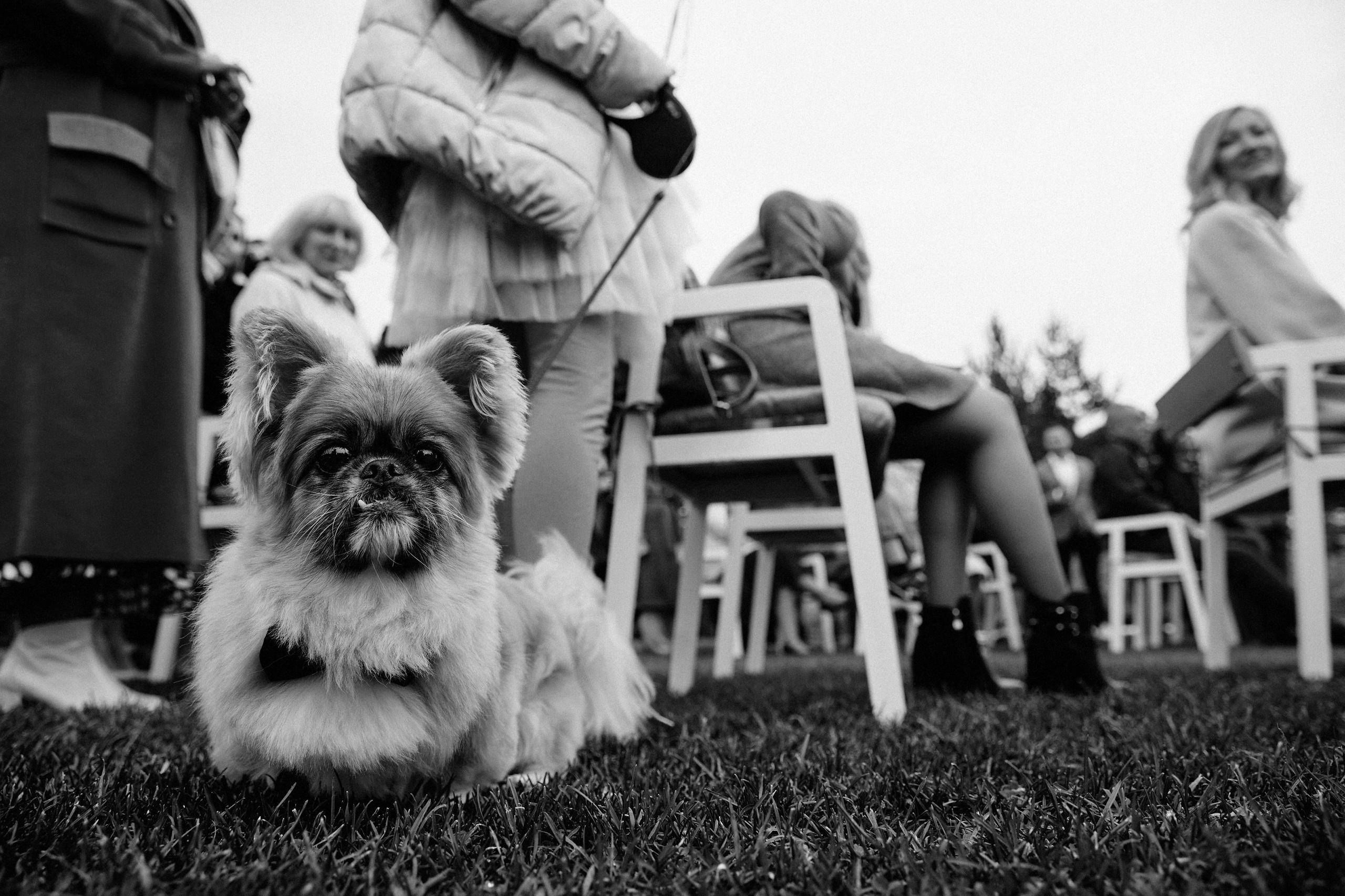 Evgenij & Alena. Event агентство PAPRIKA в Екатеринбурге