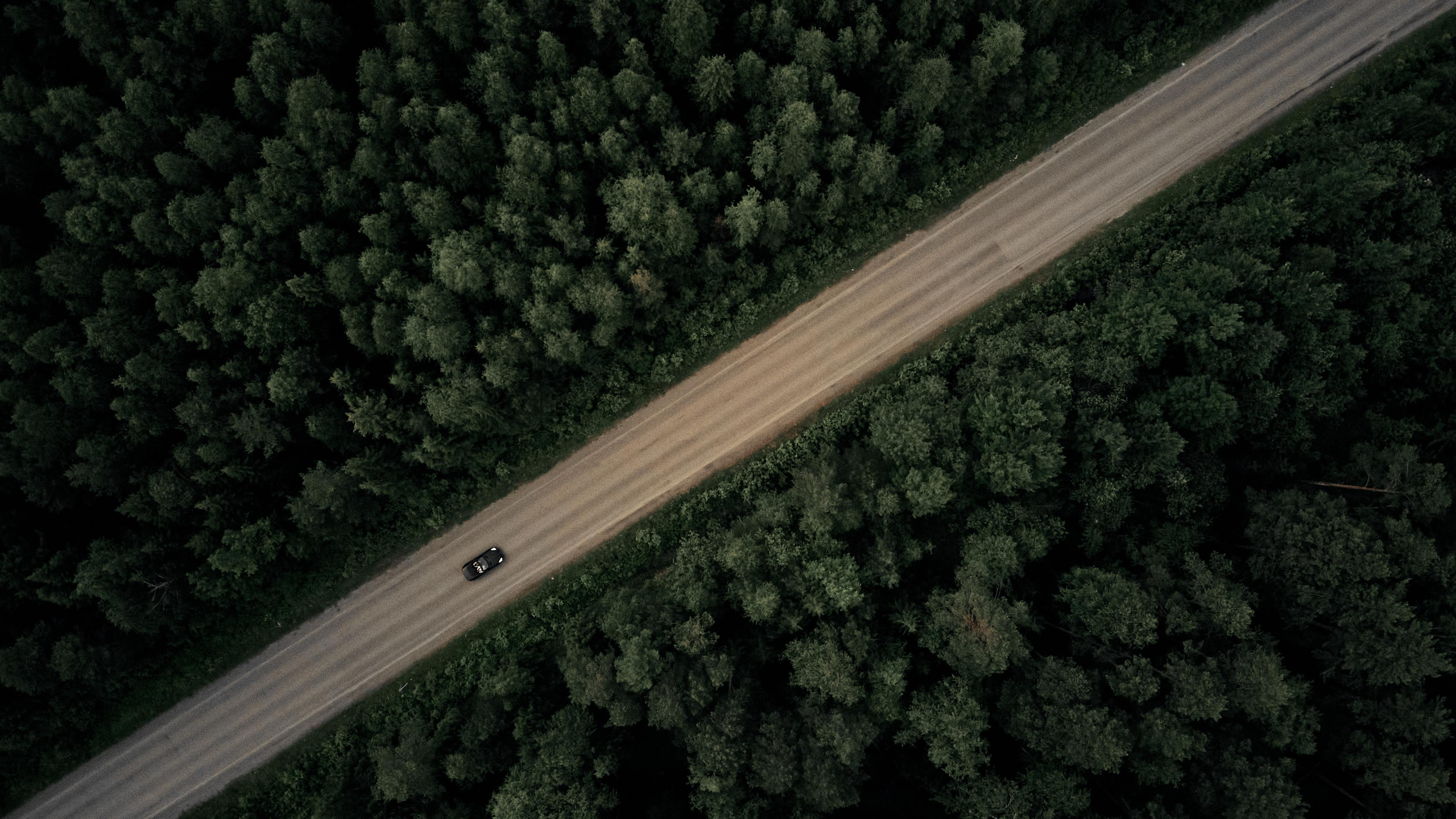 Andrey & Irina. Event агентство PAPRIKA в Екатеринбурге