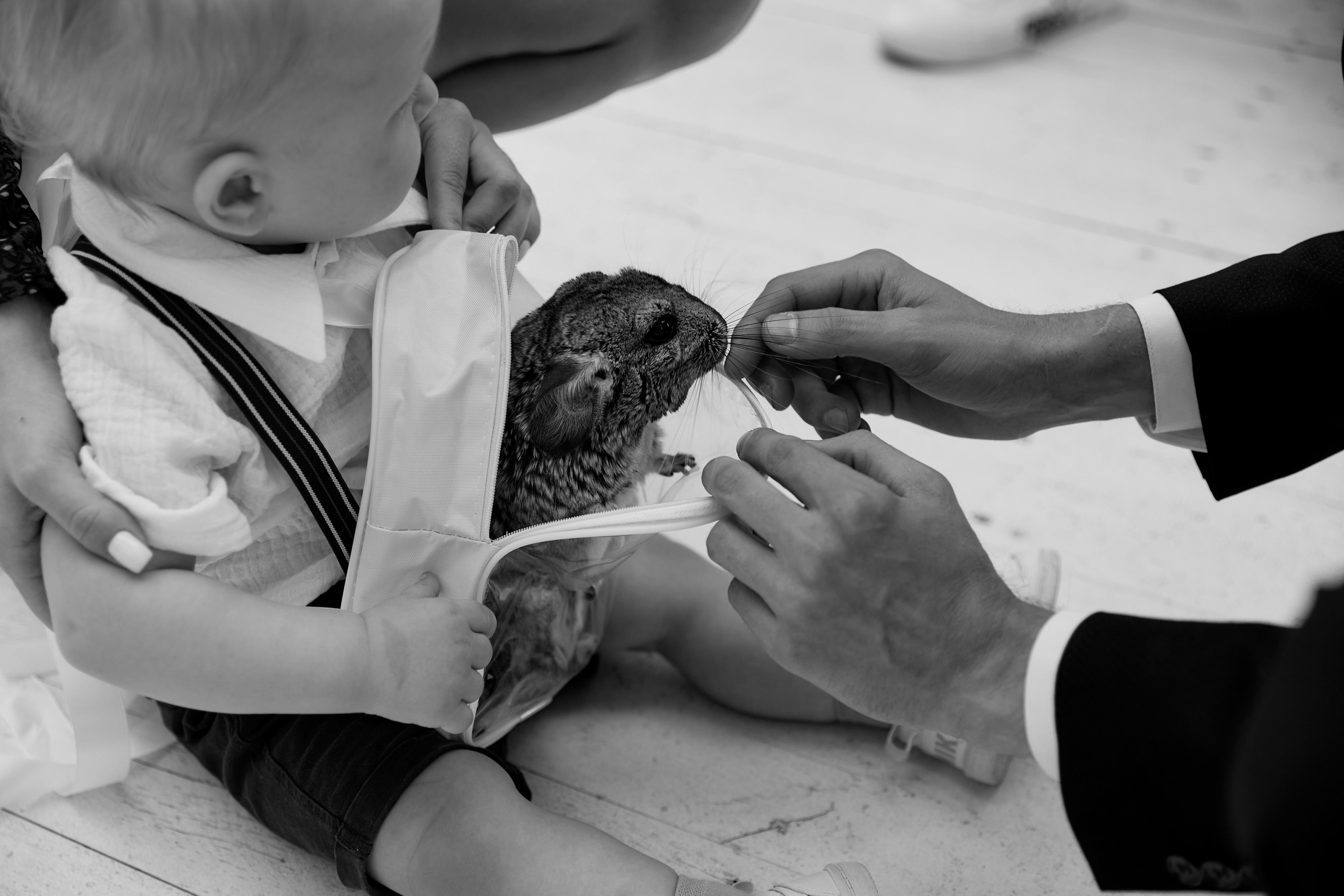 Andrej & Irina. Event агентство PAPRIKA в Екатеринбурге