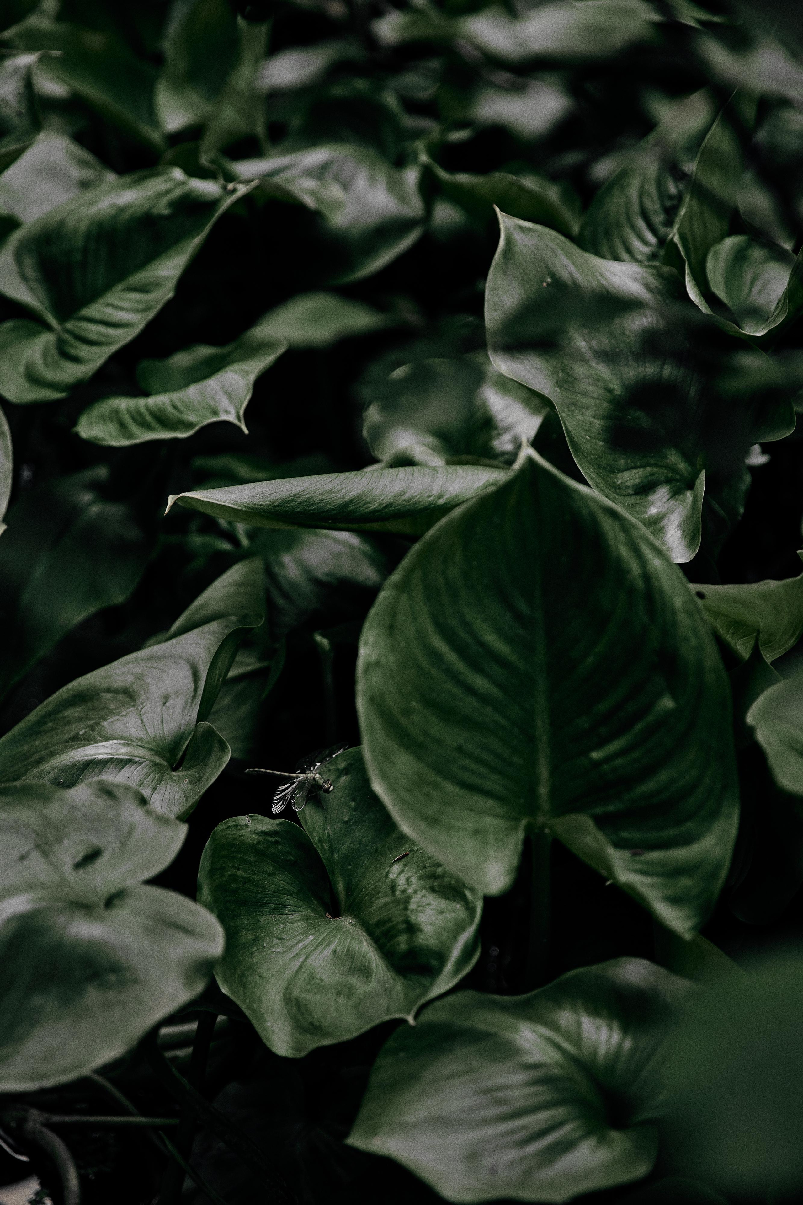 Andrey & Irina. Event агентство PAPRIKA в Екатеринбурге