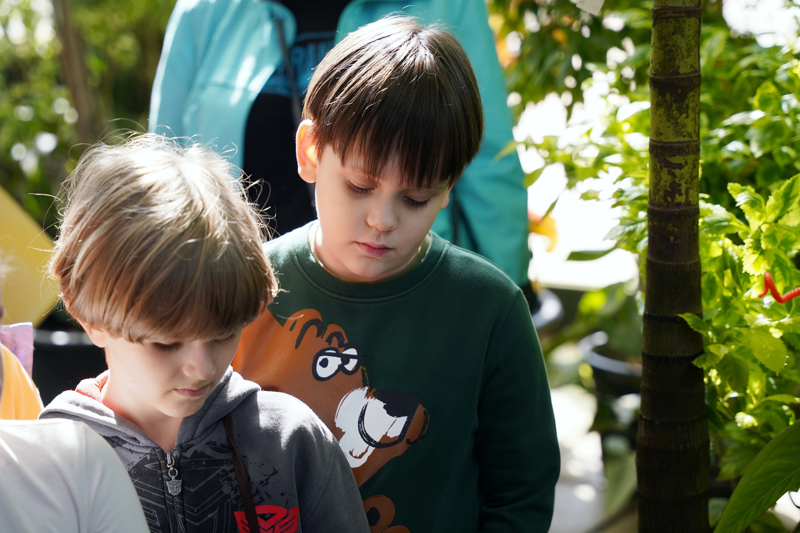 Аптекарский огород. Репортажный и портретный фотограф в Москве Анастасия Нетунаева