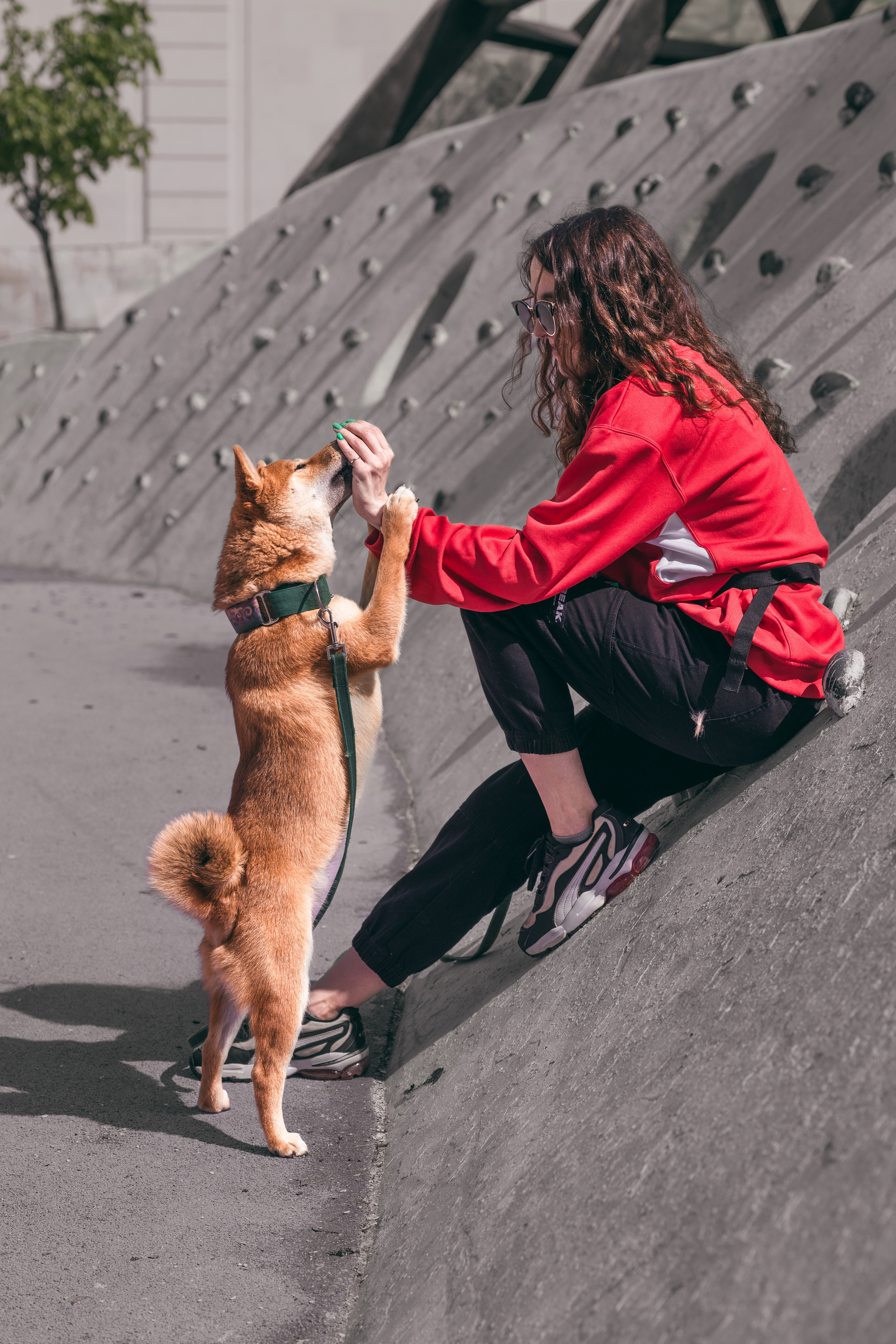 Фото с пёселями. Фото-портфолио