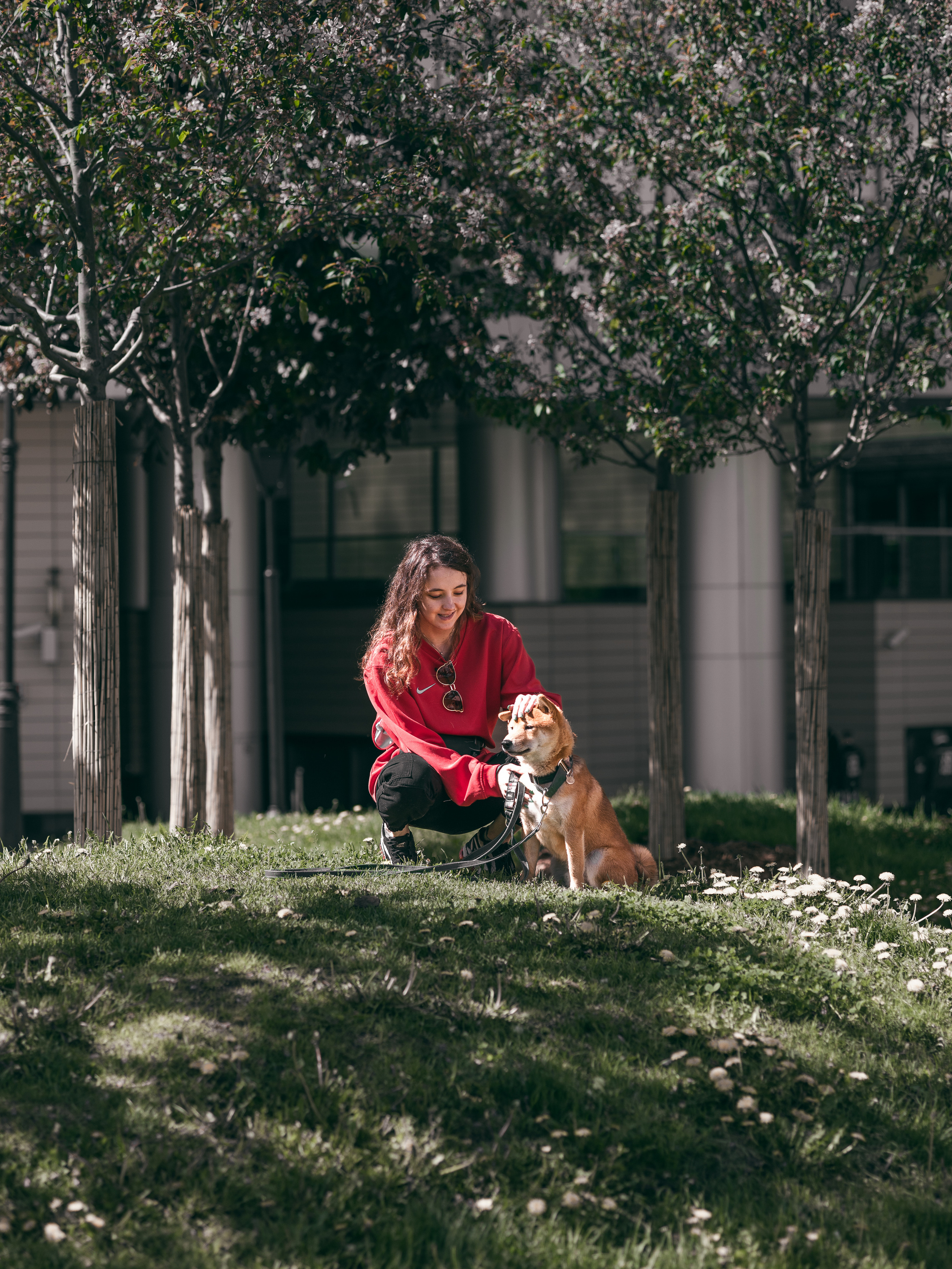 Фото с пёселями. Фото-портфолио