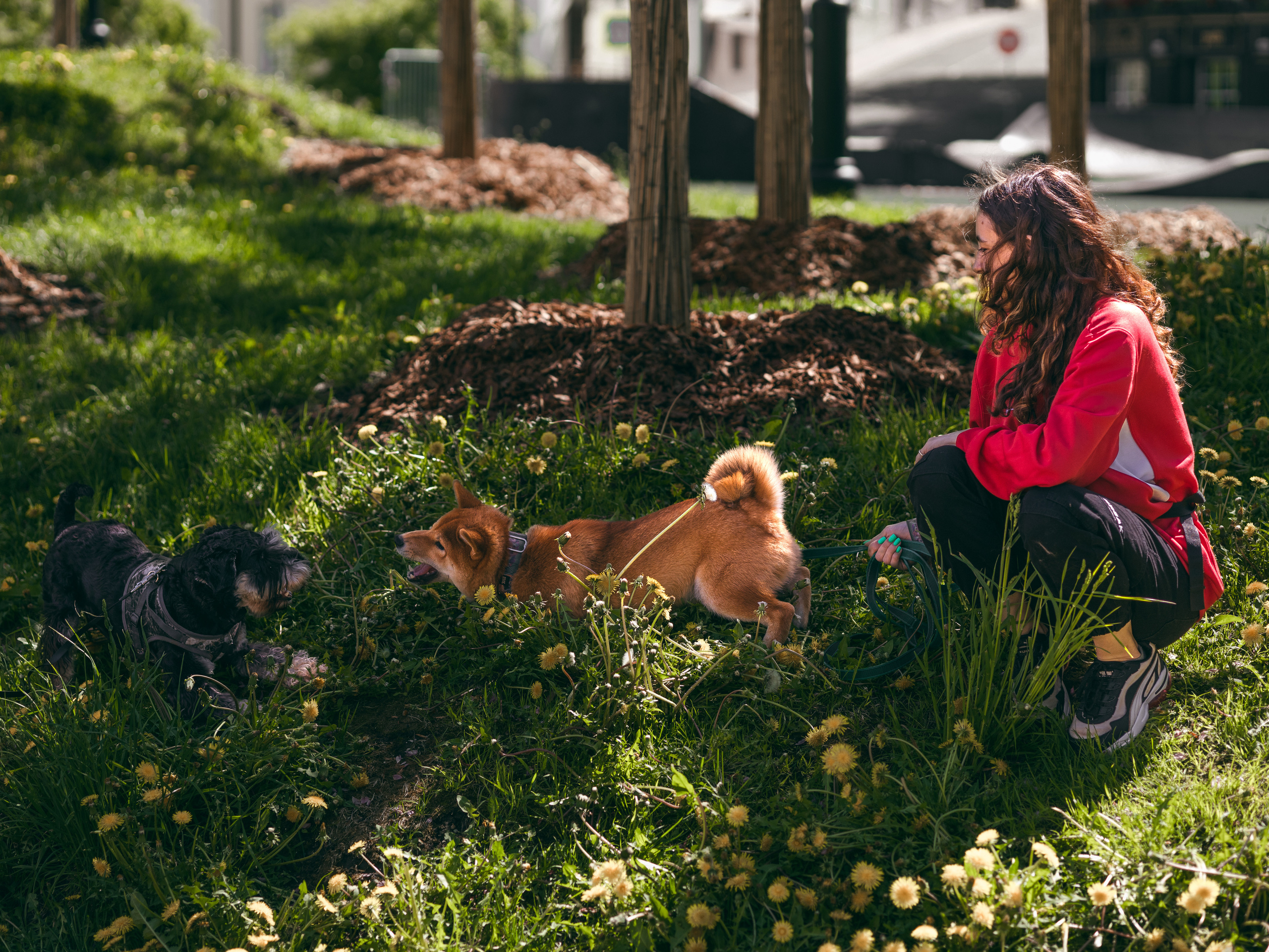 Фото с пёселями. Фото-портфолио