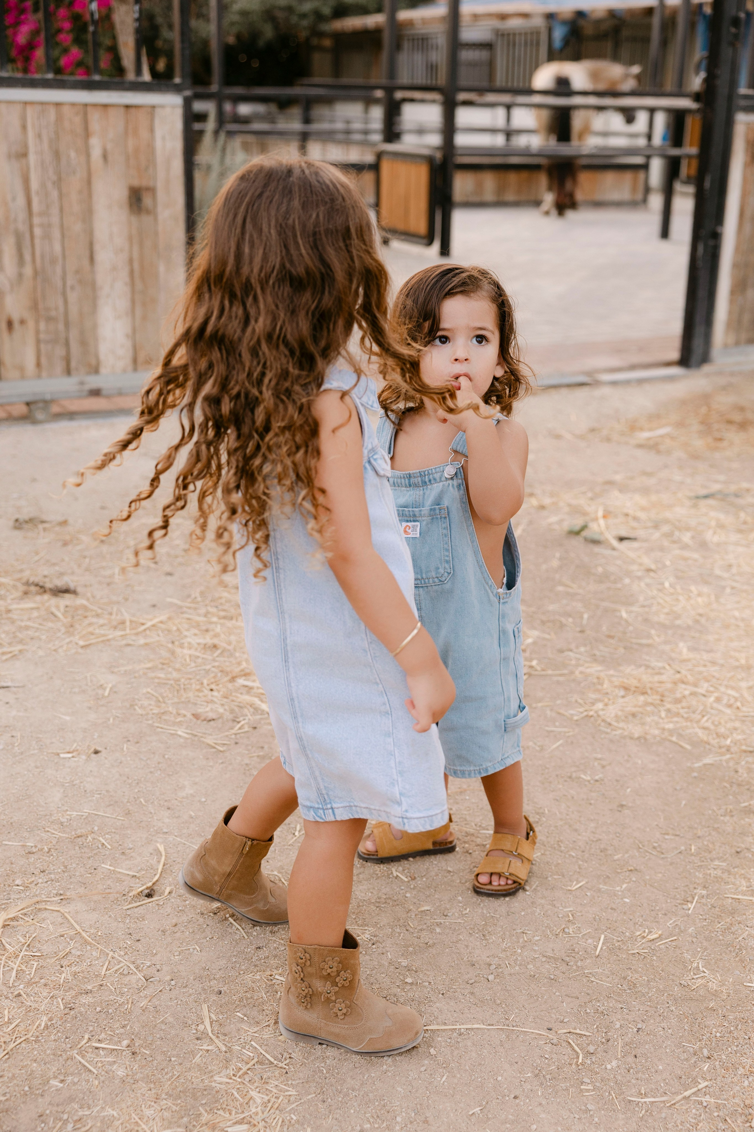 Pregnancy photoshoot at the horse farm. Главная