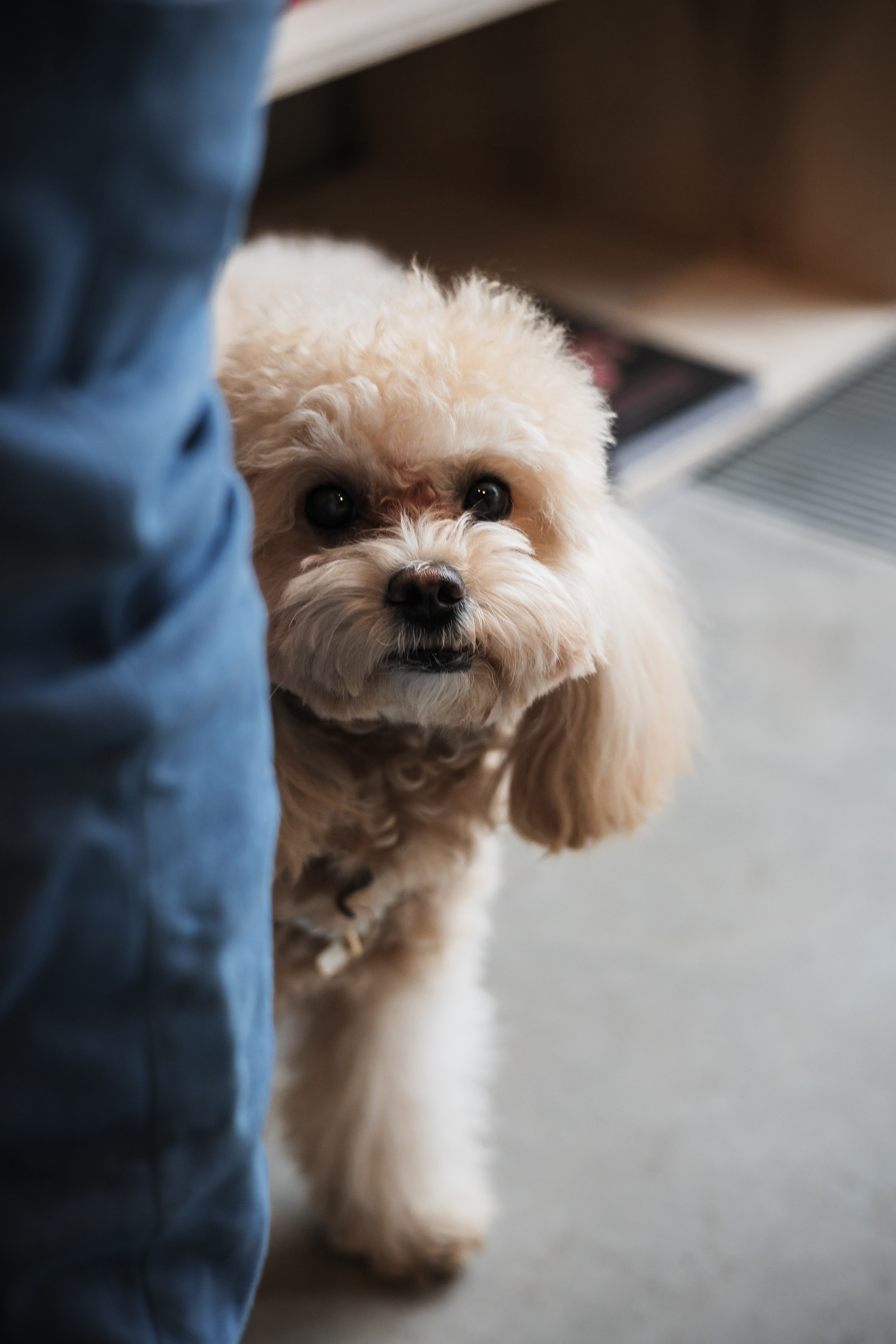 Алина — прогулка