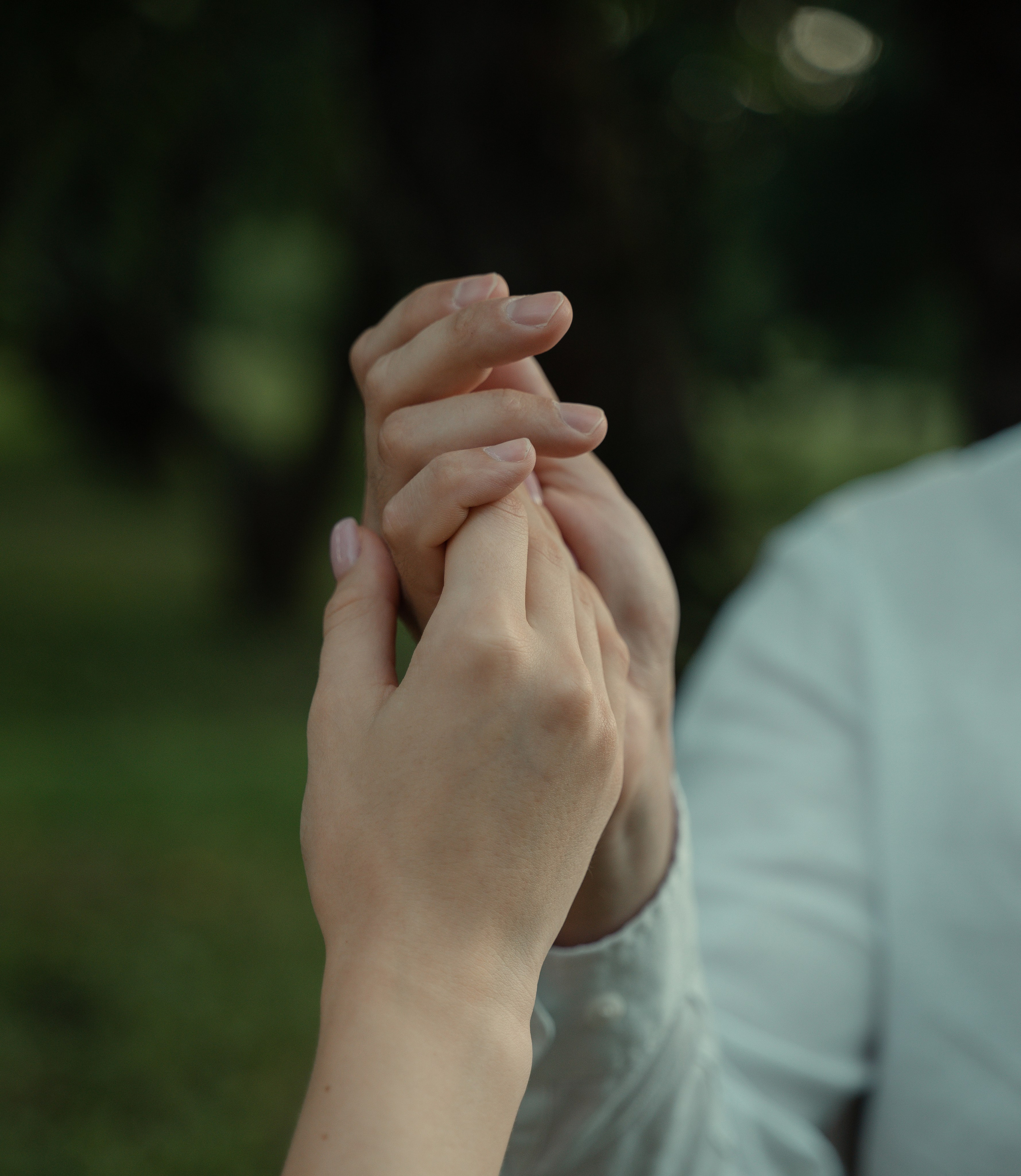 Романтический пикник