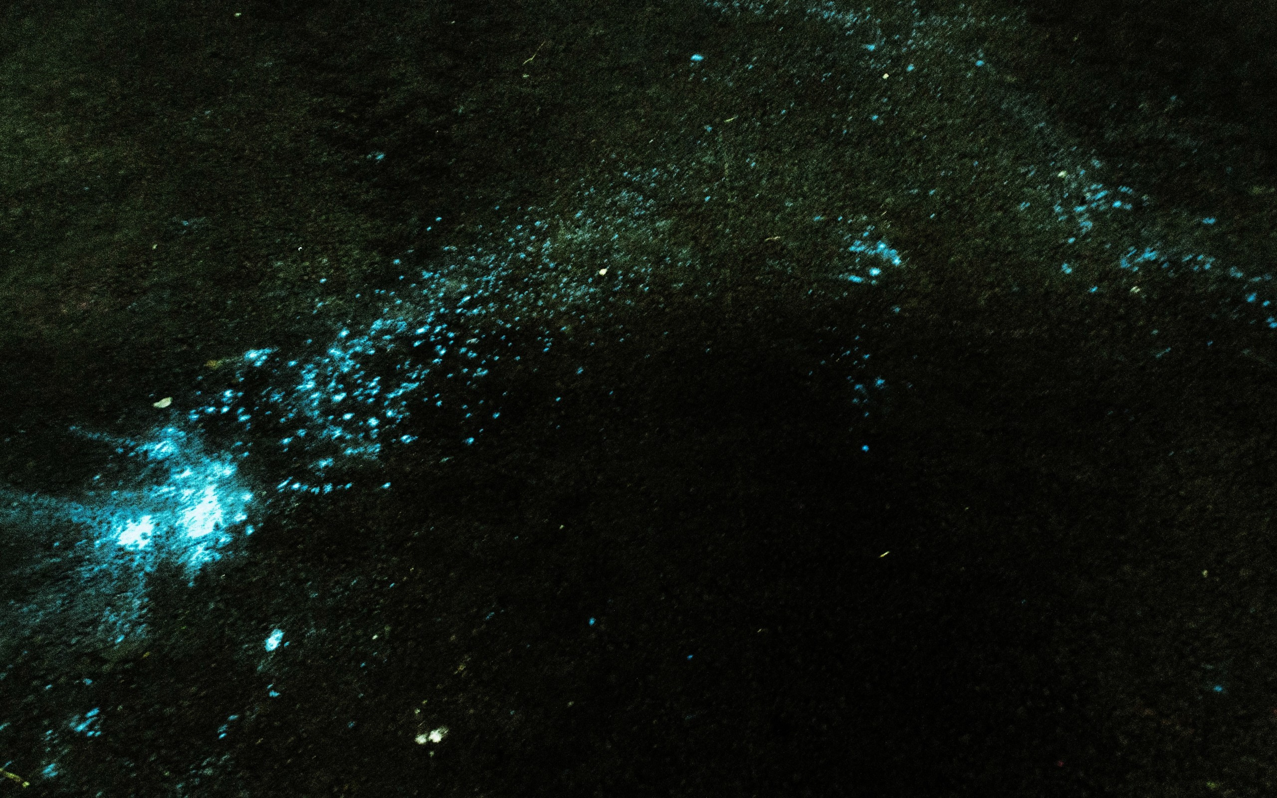 Дарья Морозова Персональная выставка