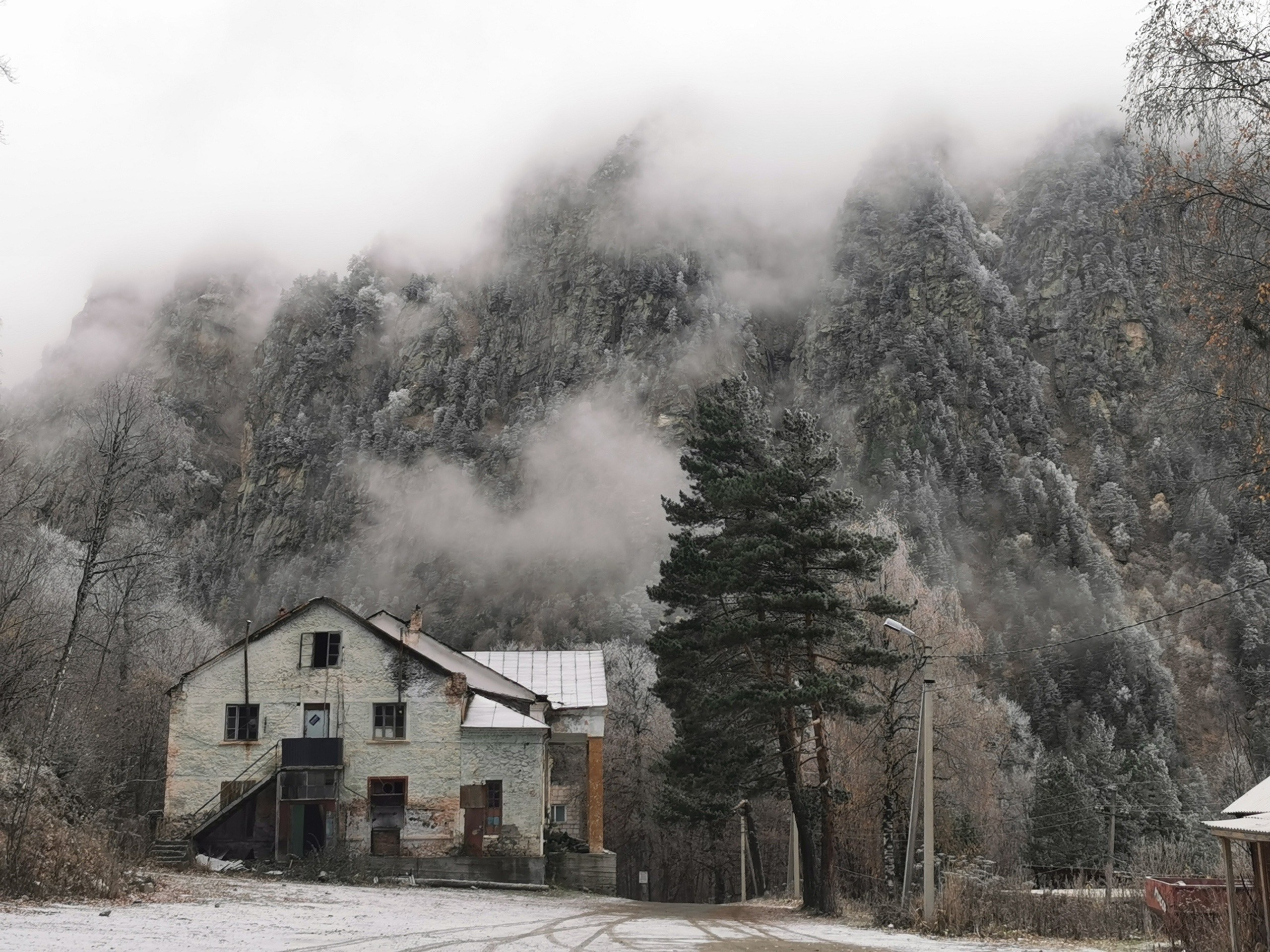 Begomvprofcom.wfolio.pro