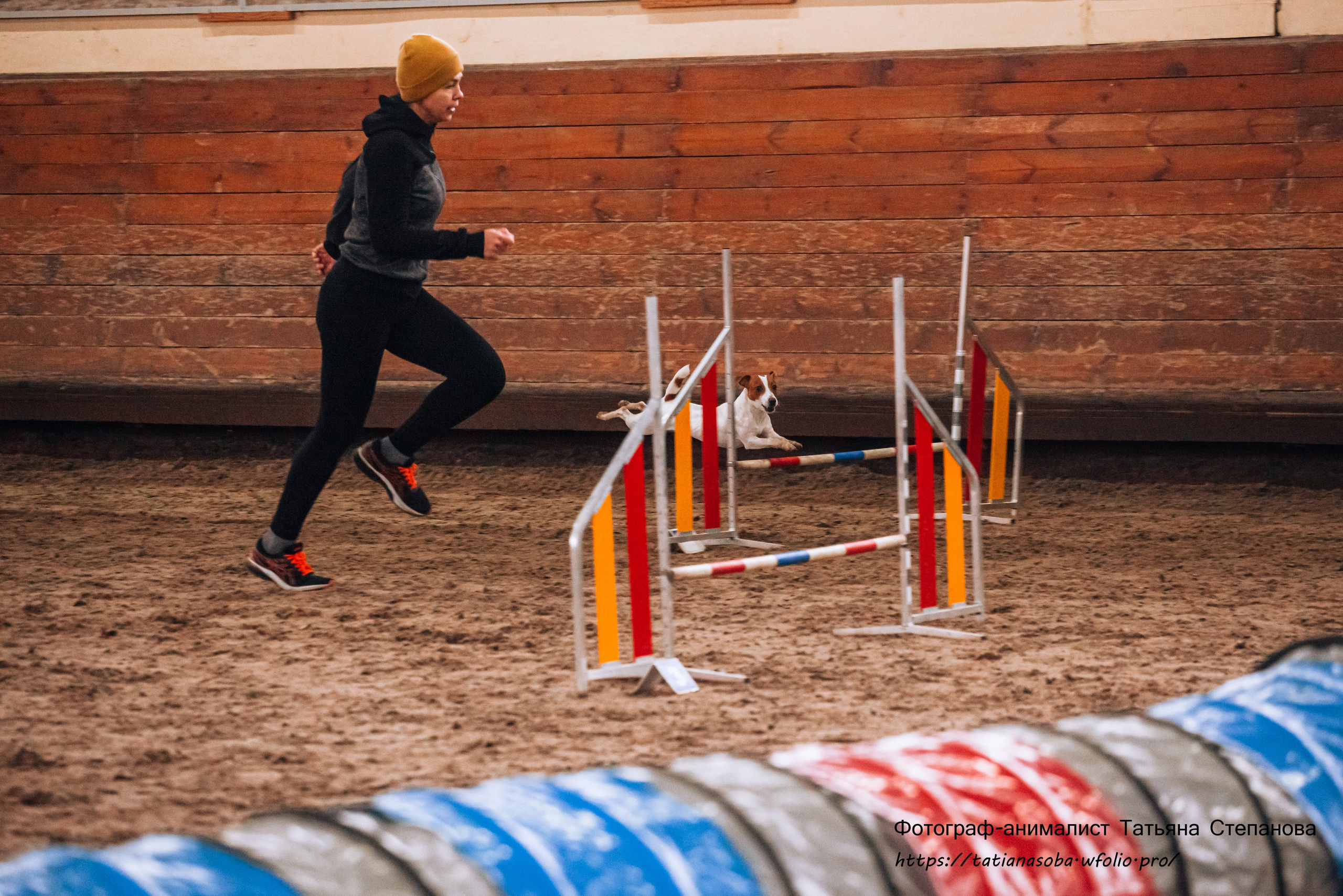 Соревнования по Аджилити 25.02.2024. Фотограф-анималист Татьяна Степанова
